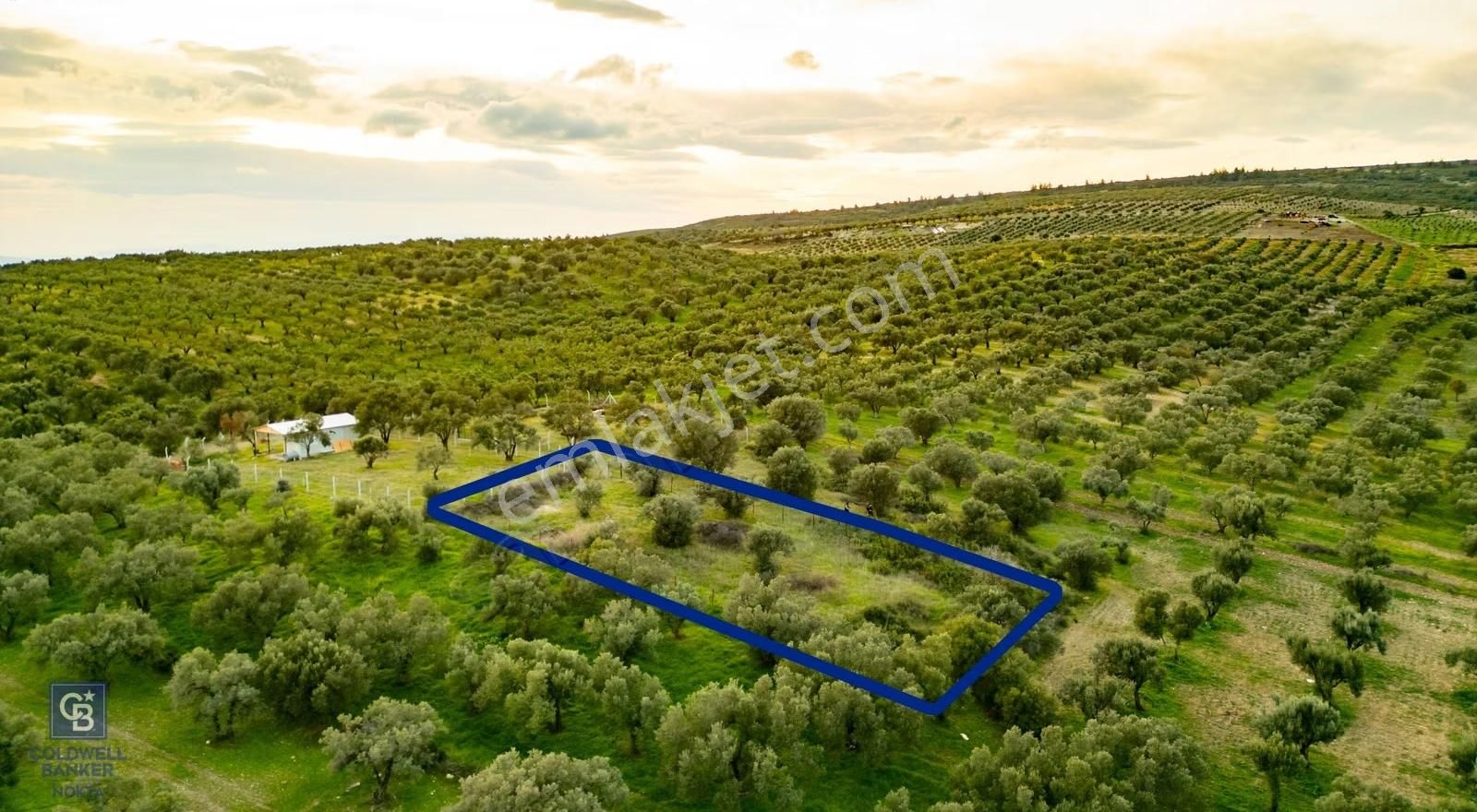 Foça Gerenköy'de Satılık Tarla - Görsel 22