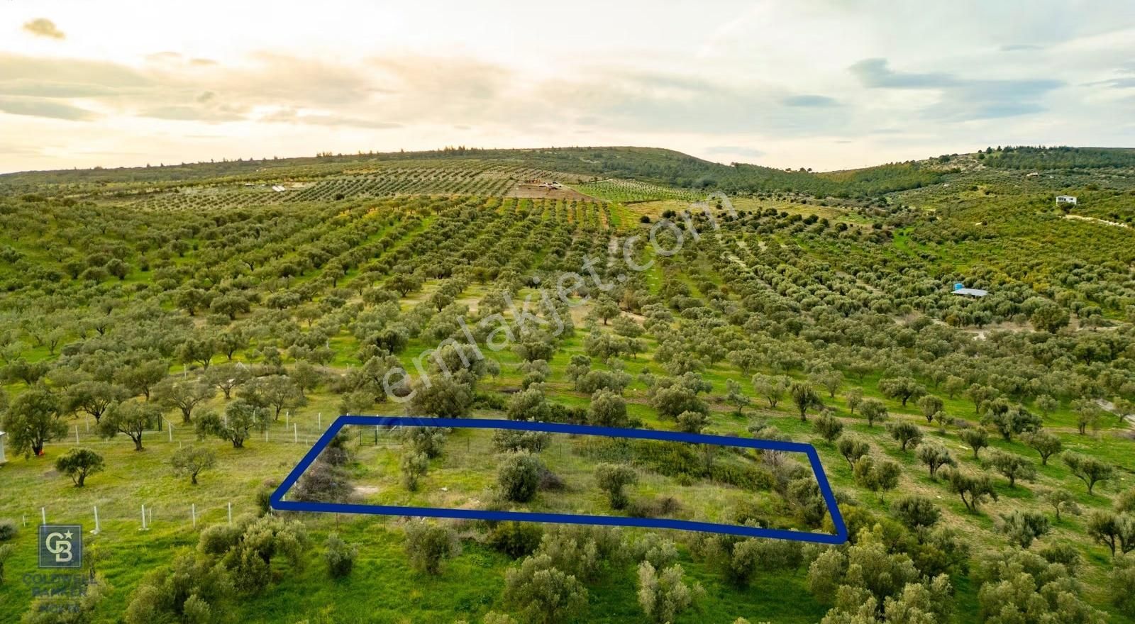 Foça Gerenköy'de Satılık Tarla - Görsel 14