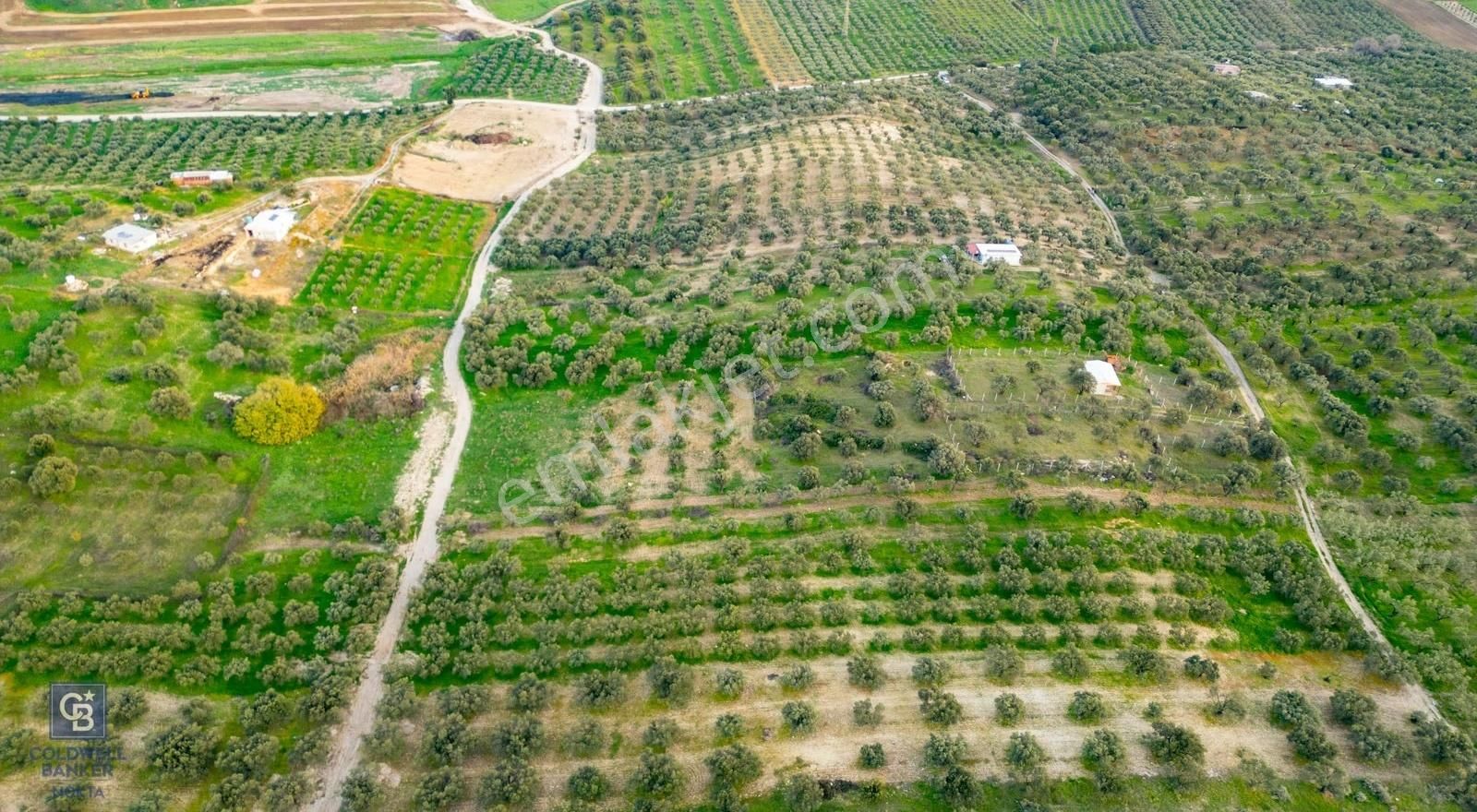 Foça Gerenköy'de Satılık Tarla - Görsel 16