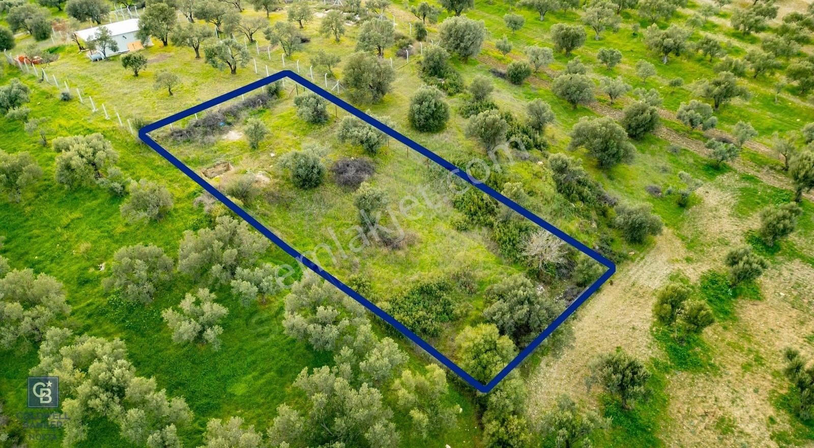 Foça Gerenköy'de Satılık Tarla - Görsel 8