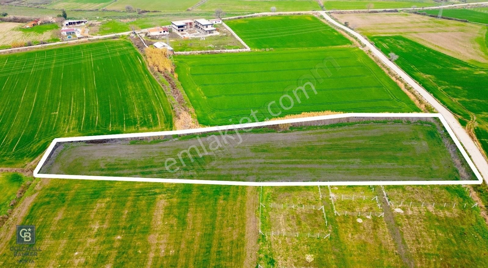 İzmir Foça Hacıveli Mahallesinde Satılık Tarla - Görsel 14