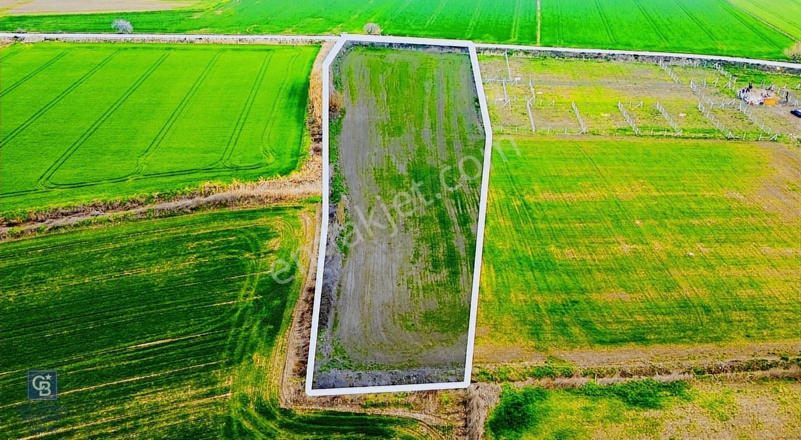 İzmir Foça Hacıveli Mahallesinde Satılık Tarla - Görsel 27