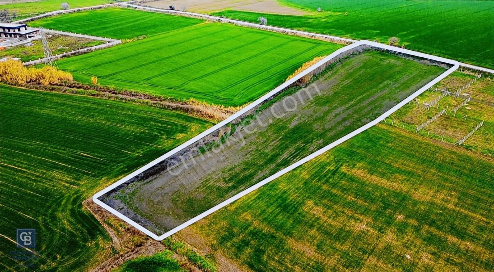 İzmir Foça Hacıveli Mahallesinde Satılık Tarla - Görsel 13