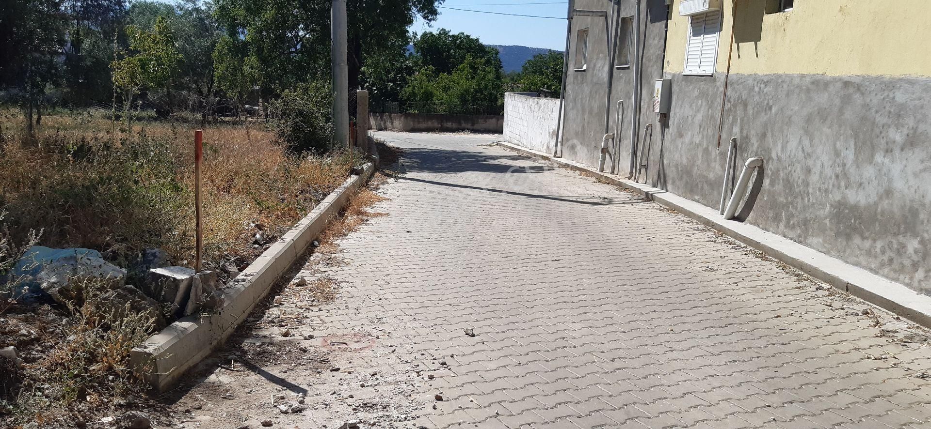 400m2 Köyiçi Zeytinli