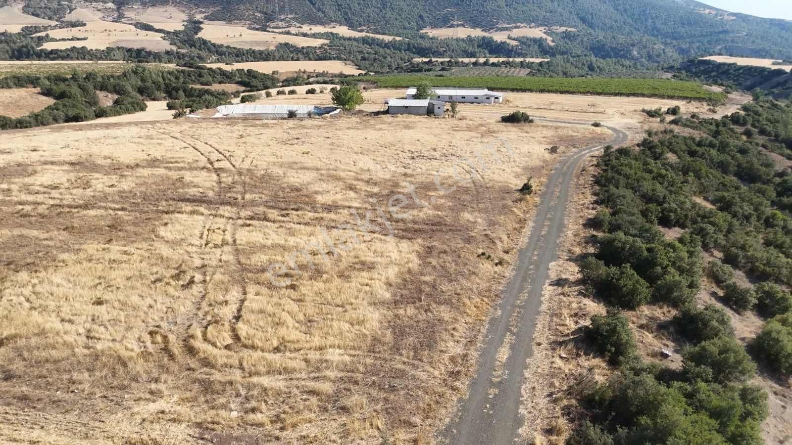Denizli Çal Karapınarda Elektrik Su Sorunu Olmayan Uygun Arsa - Görsel 19