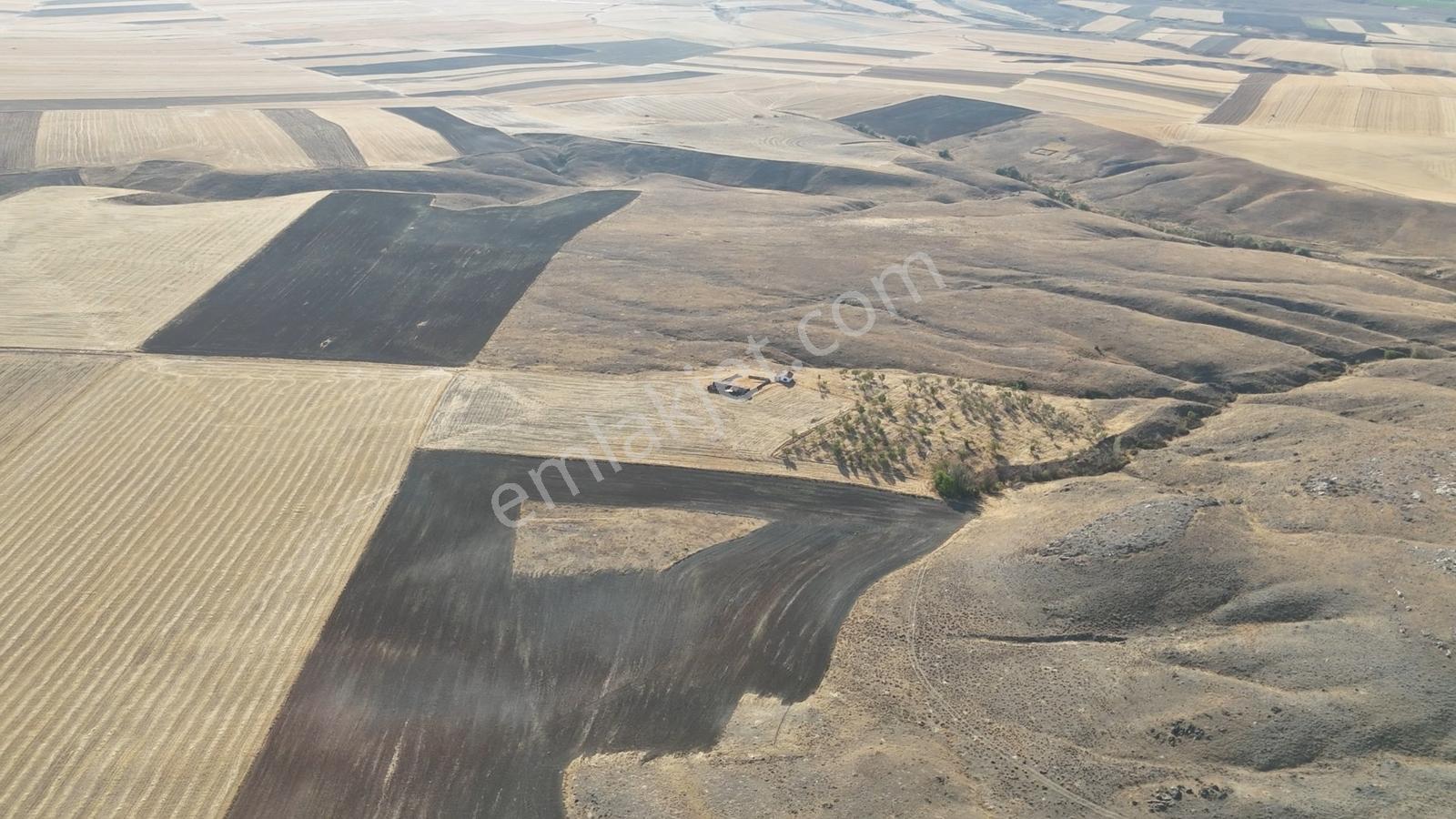 Alpu/aktepede Yollu, Ev Ve Ceviz Ağaçları Dahil Satılık Arazi - Görsel 12