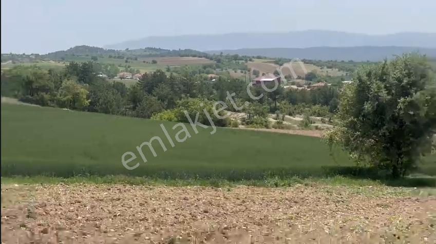 Tavuk Çiftliği Yapımına Uygun Satılık Arazi - Görsel 6