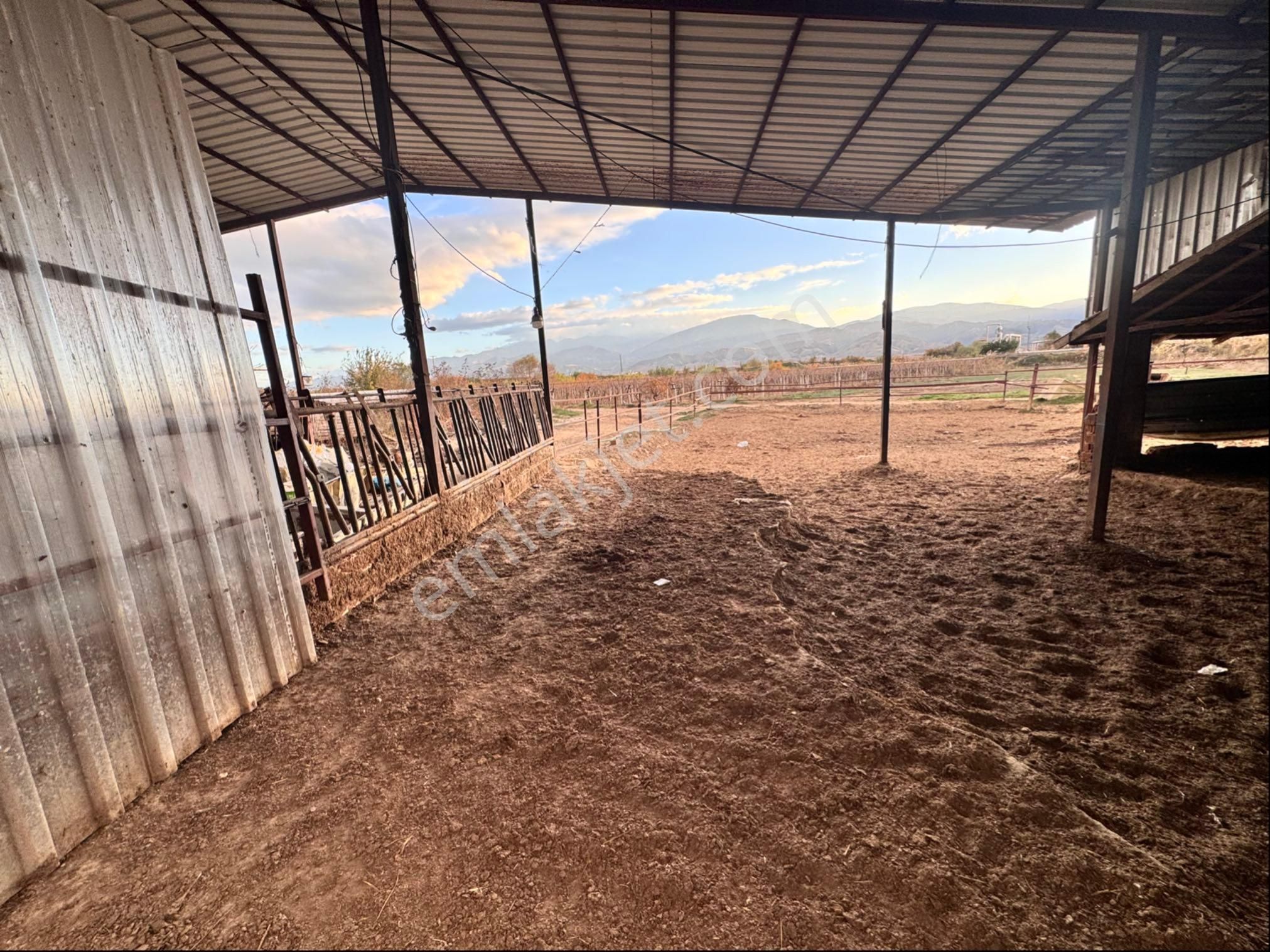 Kemaliye De Satılık Çiftlik Ve Bağ - Görsel 6