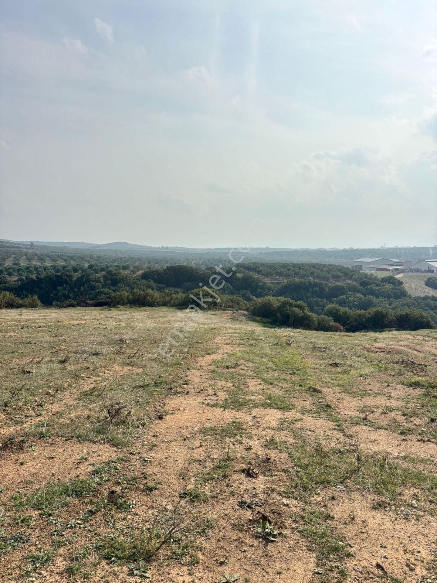 Turgutlu Satılık Arazi Musallar Yeni Köyde 750m2 Resmi Yola Cepheli - Görsel 4