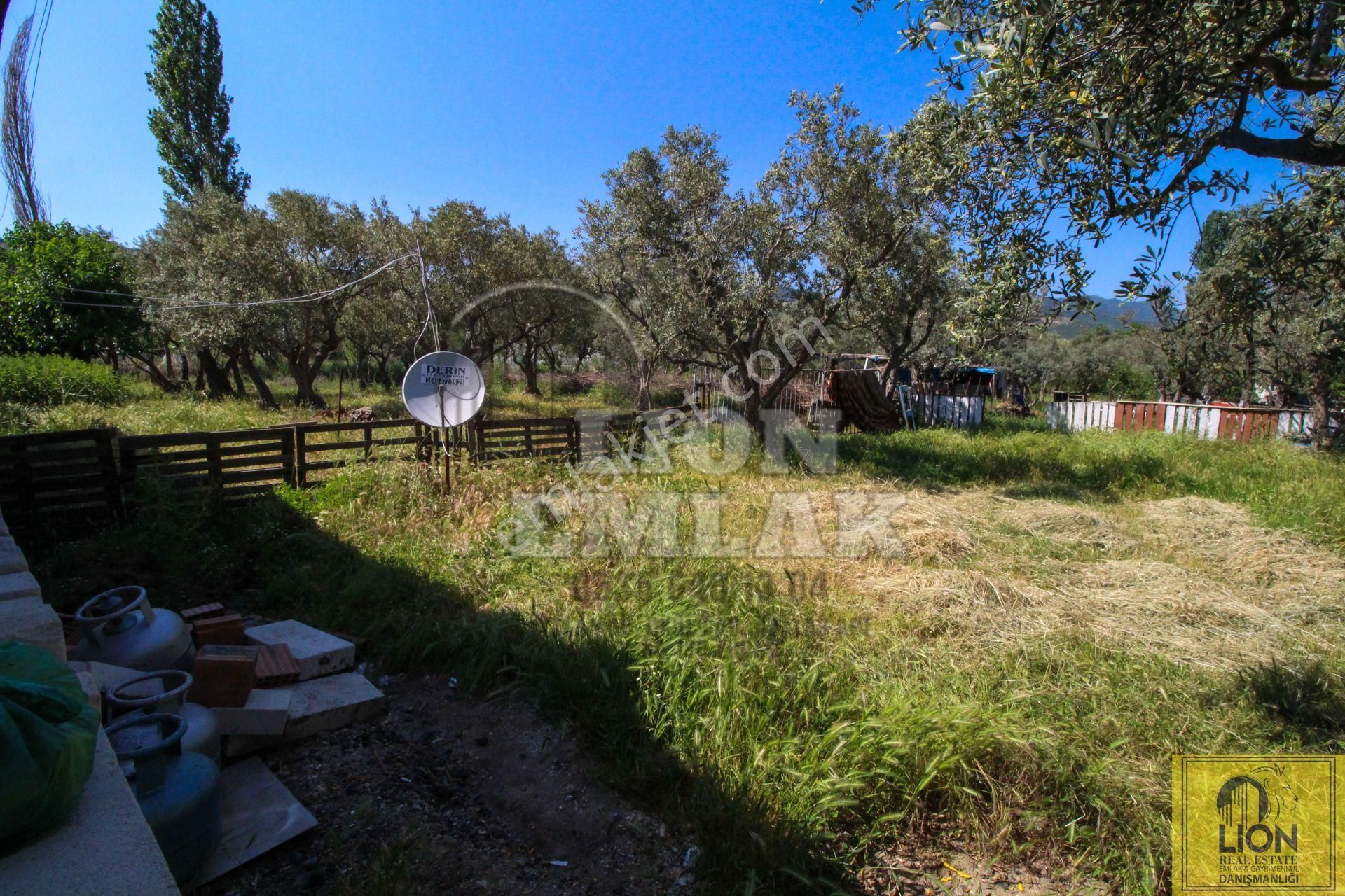 ⬛🟨lıon Emlak'tan Zeytinli Kastri'de Satılık 2545m² Satılık Ticari+konut İmarlı Satılık Arsa⬛🟨 - Görsel 31