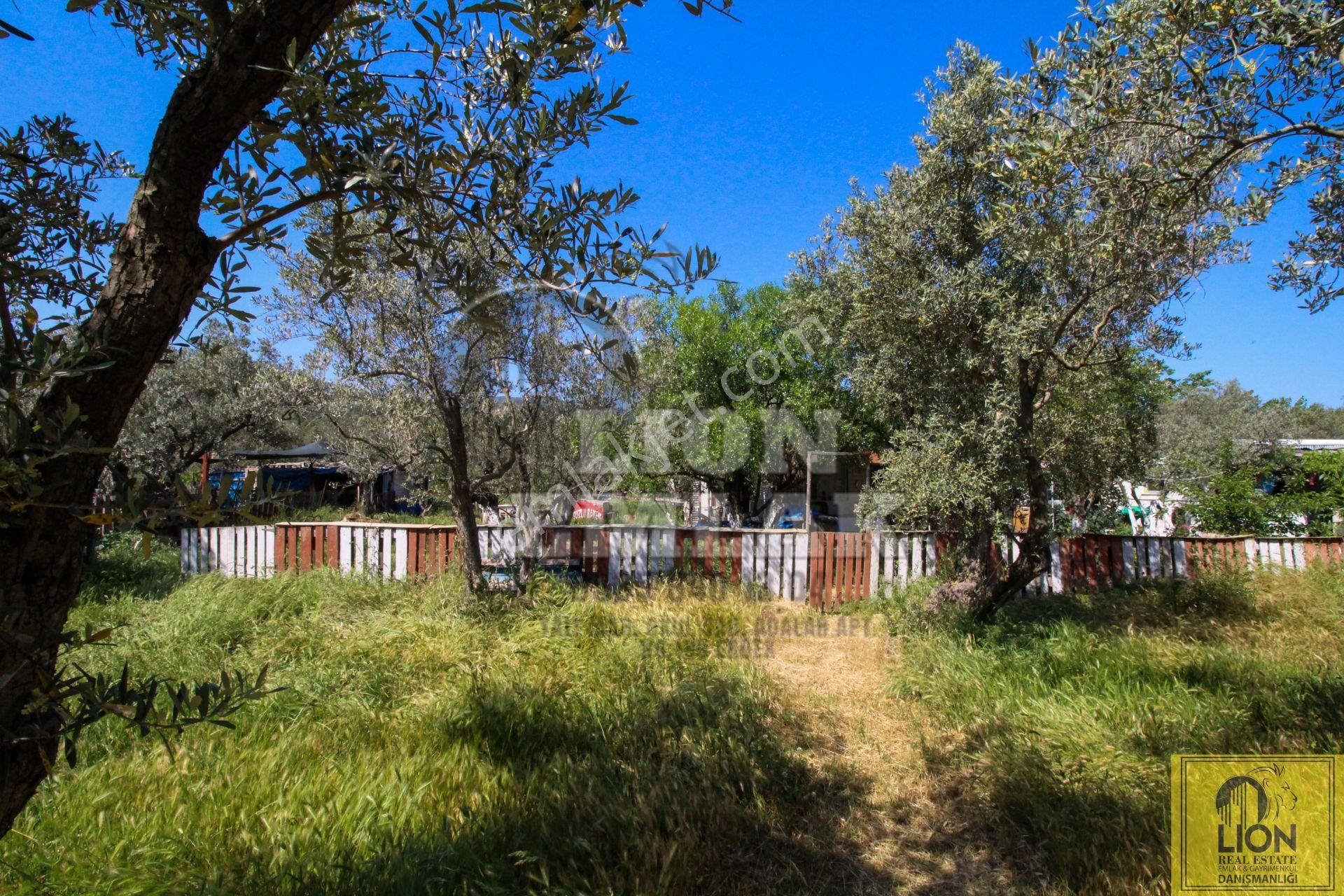 ⬛🟨lıon Emlak'tan Zeytinli Kastri'de Satılık 2545m² Satılık Ticari+konut İmarlı Satılık Arsa⬛🟨 - Görsel 28