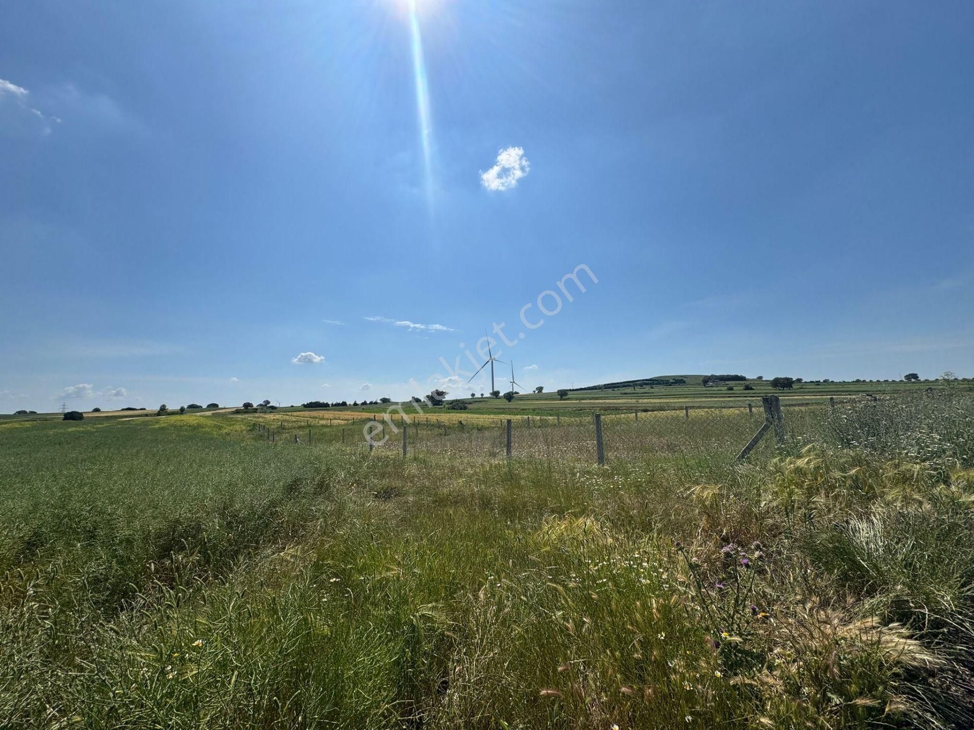 Silivri Büyükkılıçlı'da Kadastro Yola Cephe Tek Tapu Arazi - Görsel 14