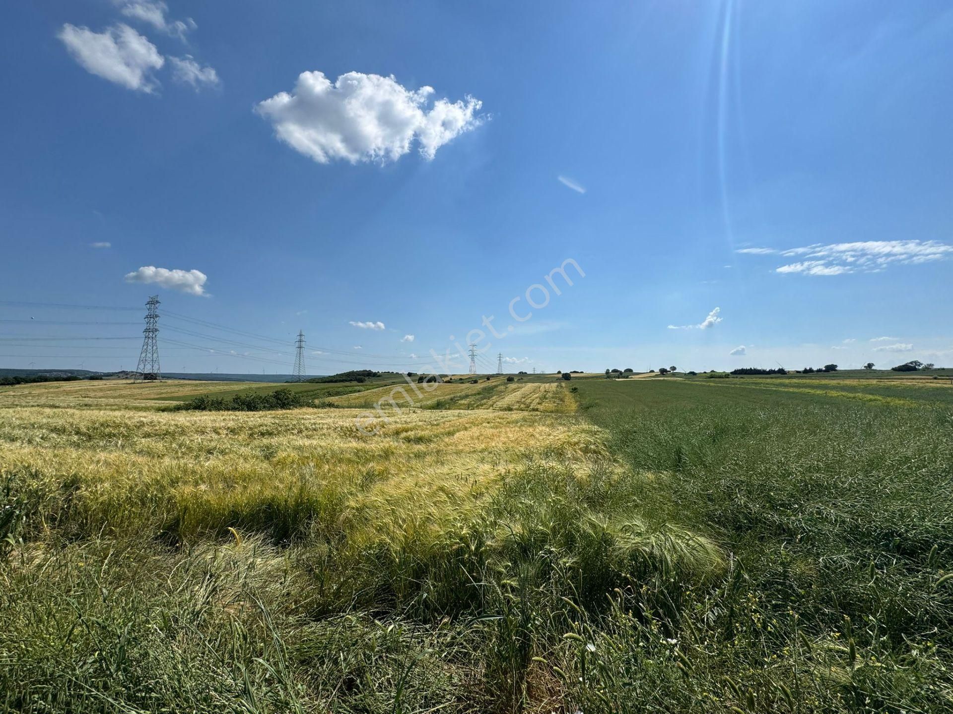 Silivri Büyükkılıçlı'da Kadastro Yola Cephe Tek Tapu Arazi