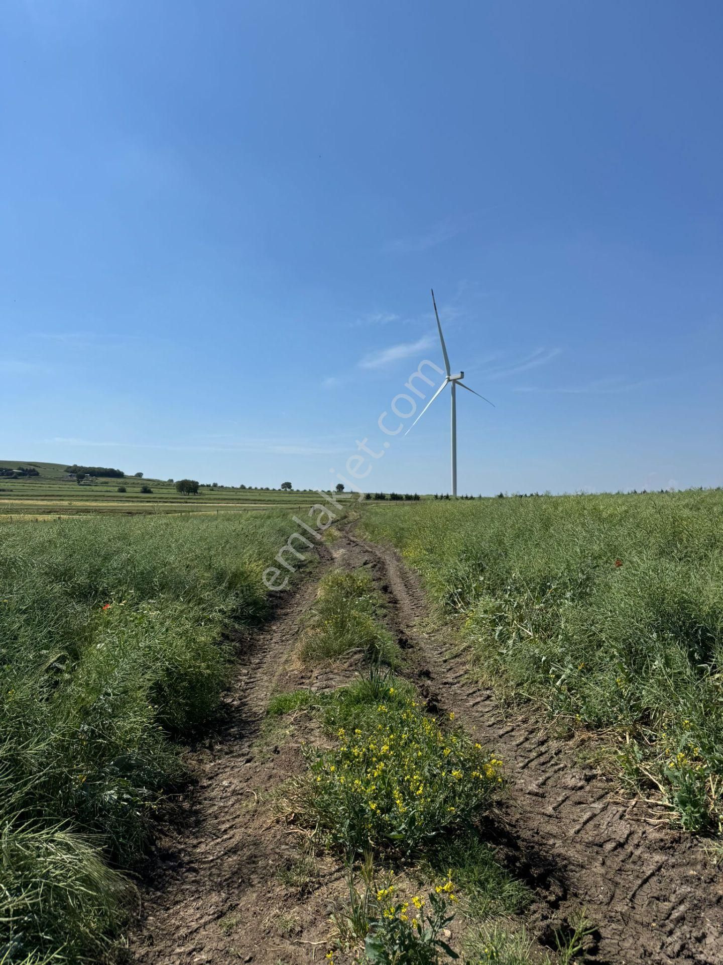 Silivri Büyükkılıçlı'da Kadastro Yola Cephe Tek Tapu Arazi - Görsel 11