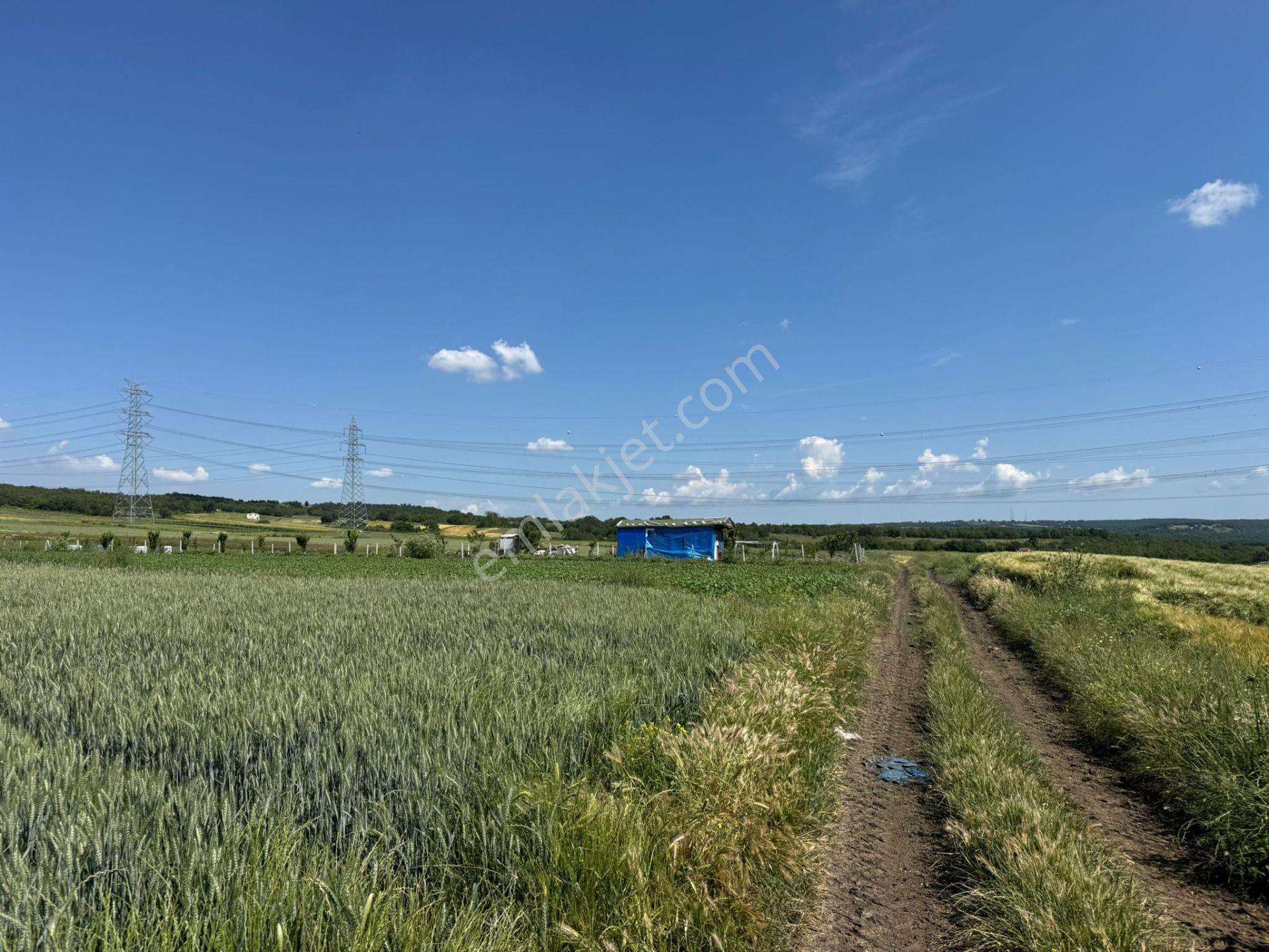 Silivri Büyükkılıçlı'da Kadastro Yola Cephe Tek Tapu Arazi - Görsel 12