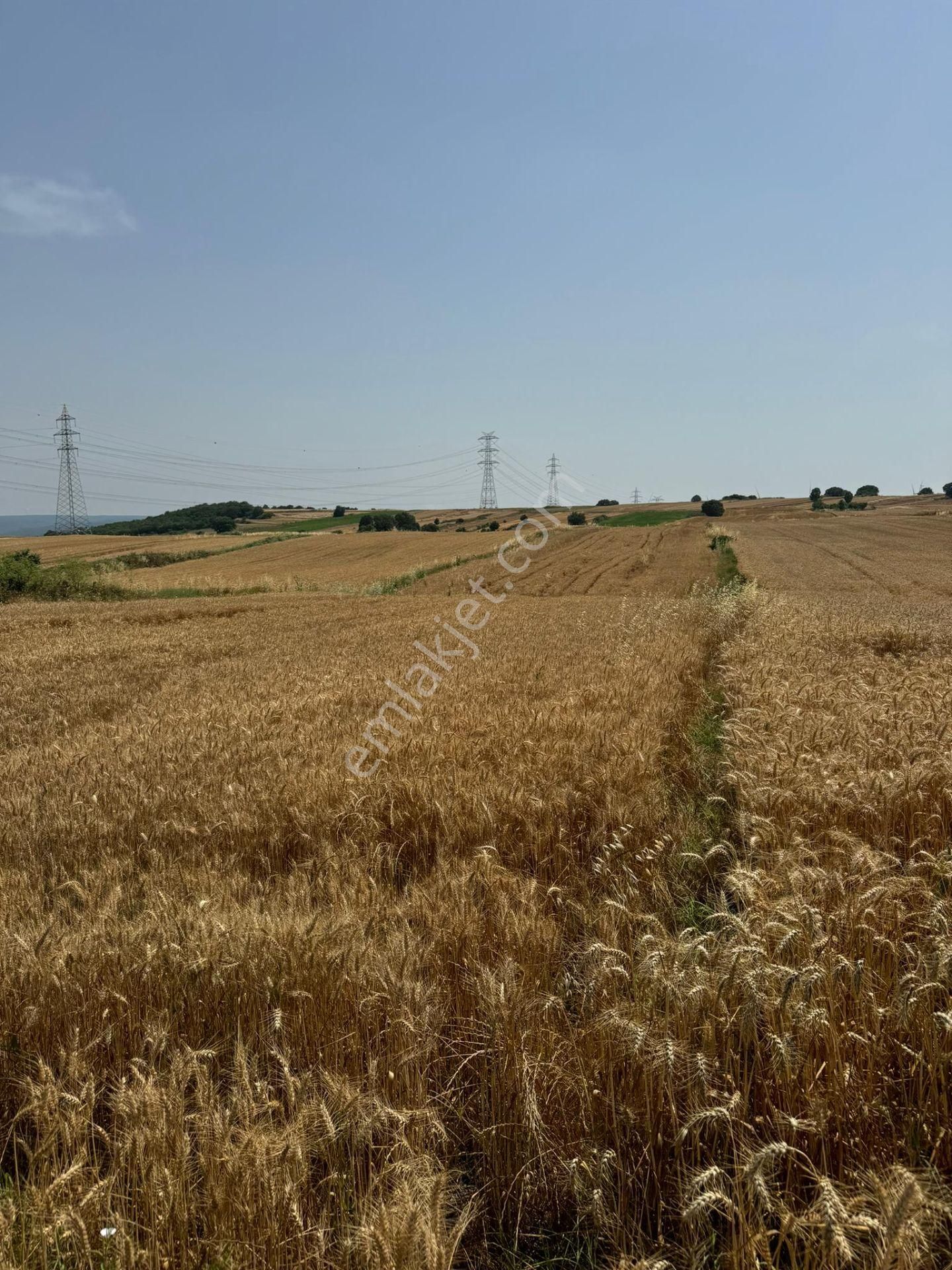 Silivri Büyükkılıçlı'da Kadastro Yola Cephe Tek Tapu Arazi - Görsel 4