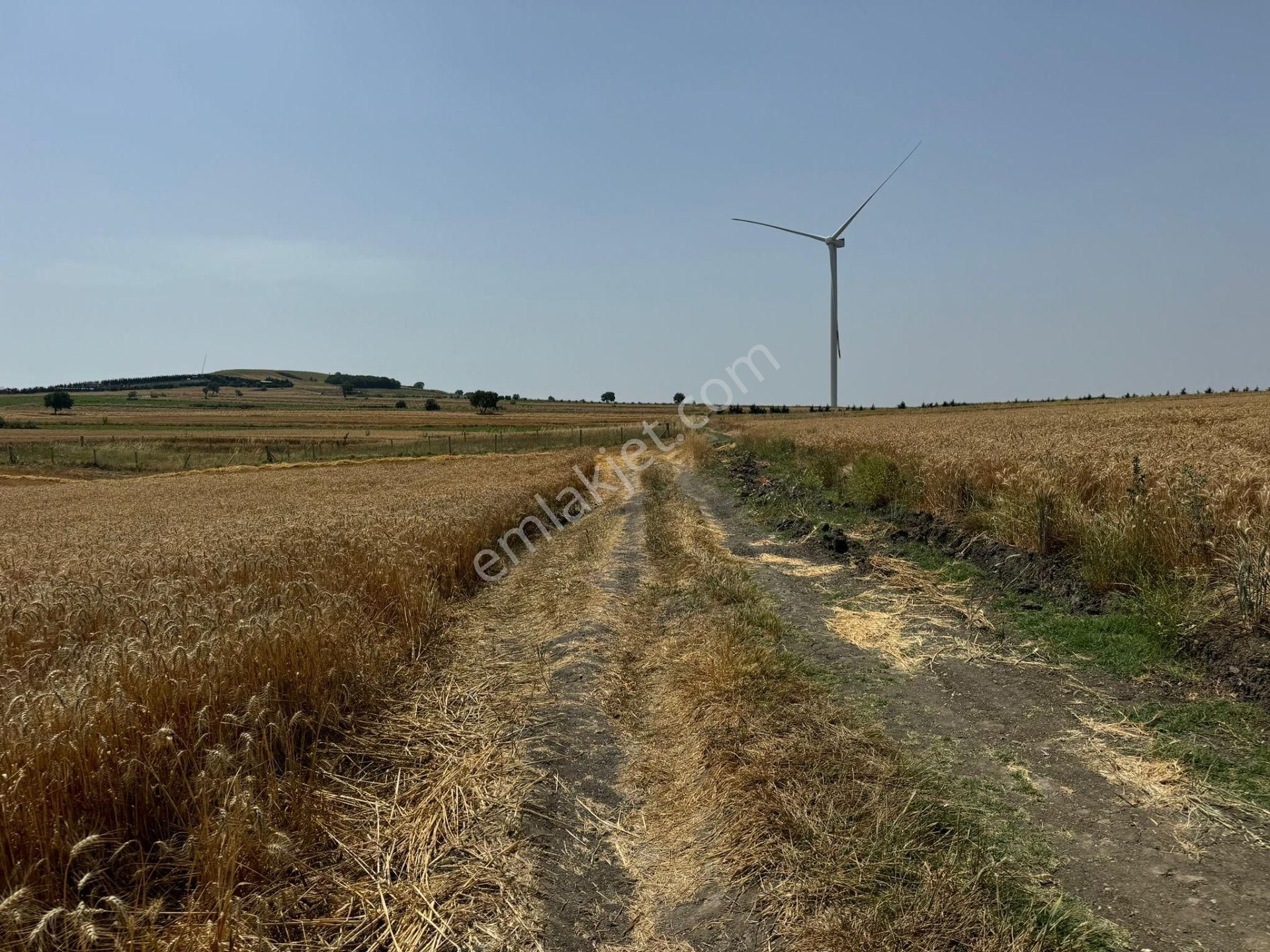 Silivri Büyükkılıçlı'da Kadastro Yola Cephe Tek Tapu Arazi - Görsel 10