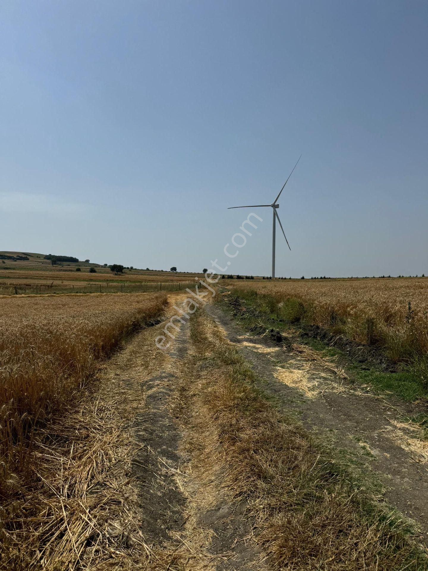 Silivri Büyükkılıçlı'da Kadastro Yola Cephe Tek Tapu Arazi - Görsel 8