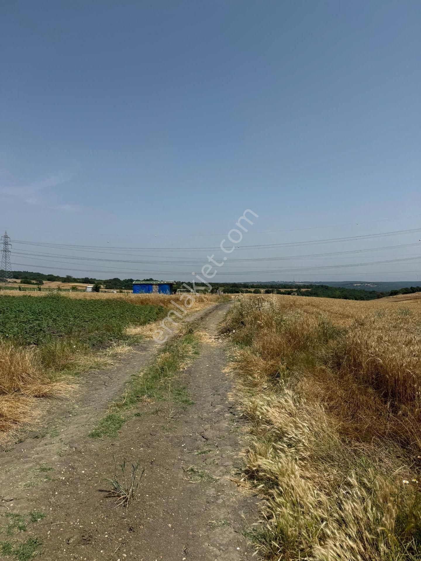 Silivri Büyükkılıçlı'da Kadastro Yola Cephe Tek Tapu Arazi - Görsel 5