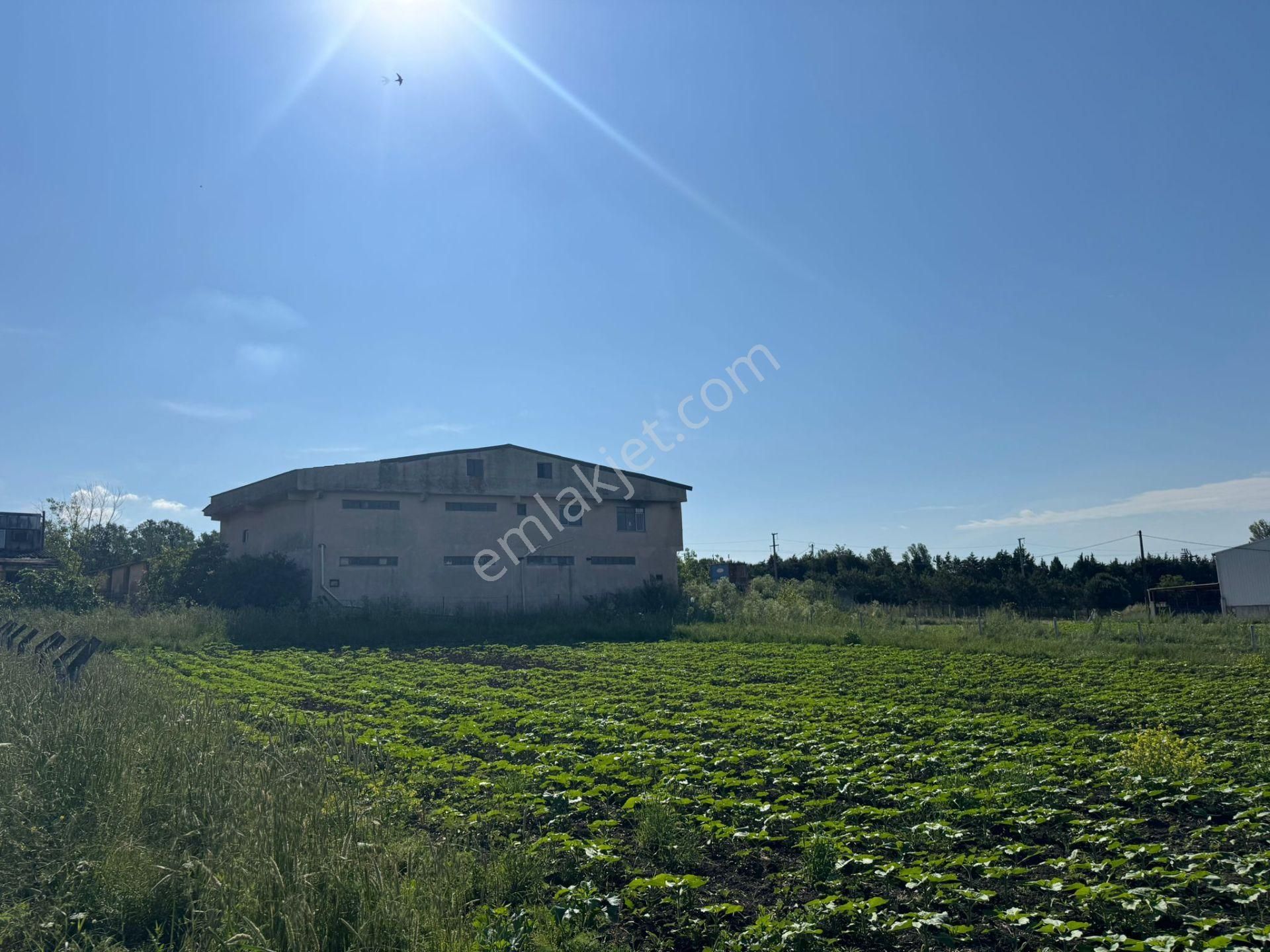 Silivri Kavaklı'da Merkeze Yakın Uygun Net Arsa - Görsel 7