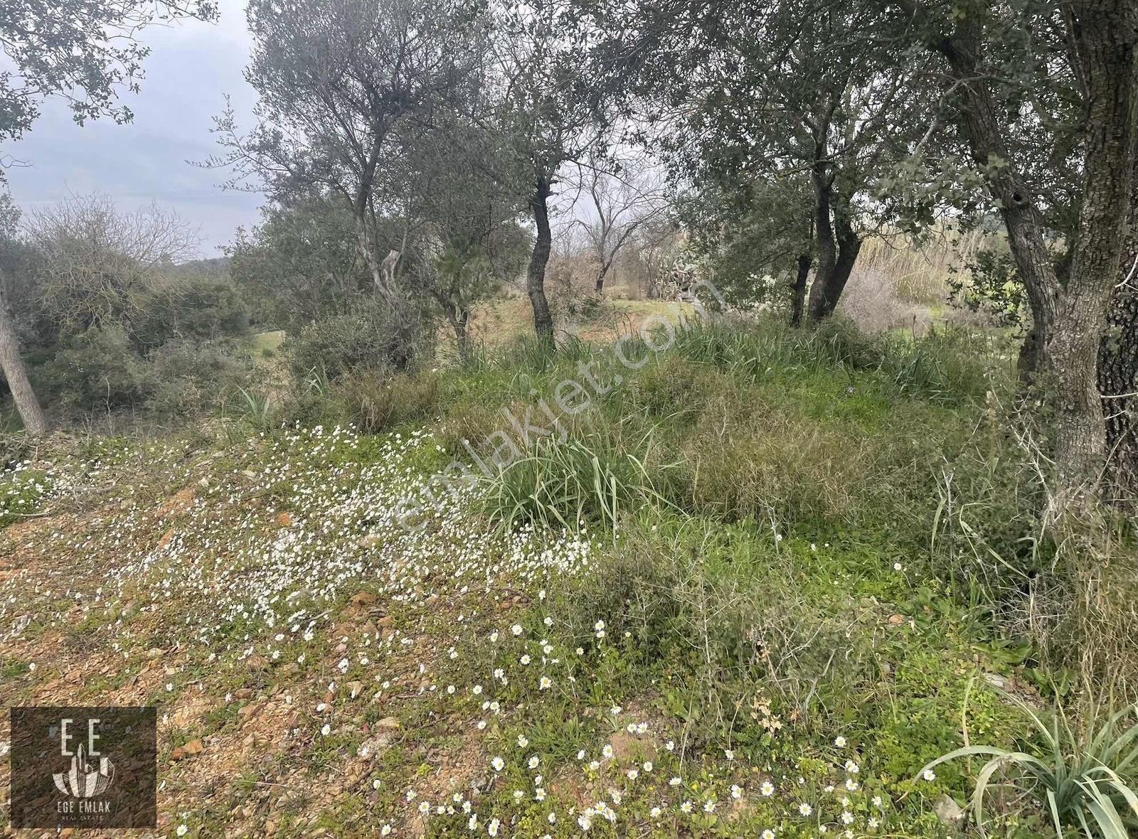 Ege Emlaktan Gökova Kızılyakada Satılık Villa Arsası - Görsel 5