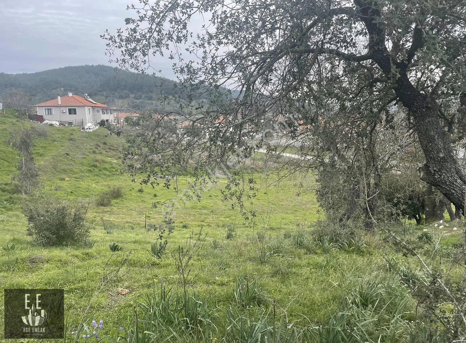 Ege Emlaktan Gökova Kızılyakada Satılık Villa Arsası - Görsel 6
