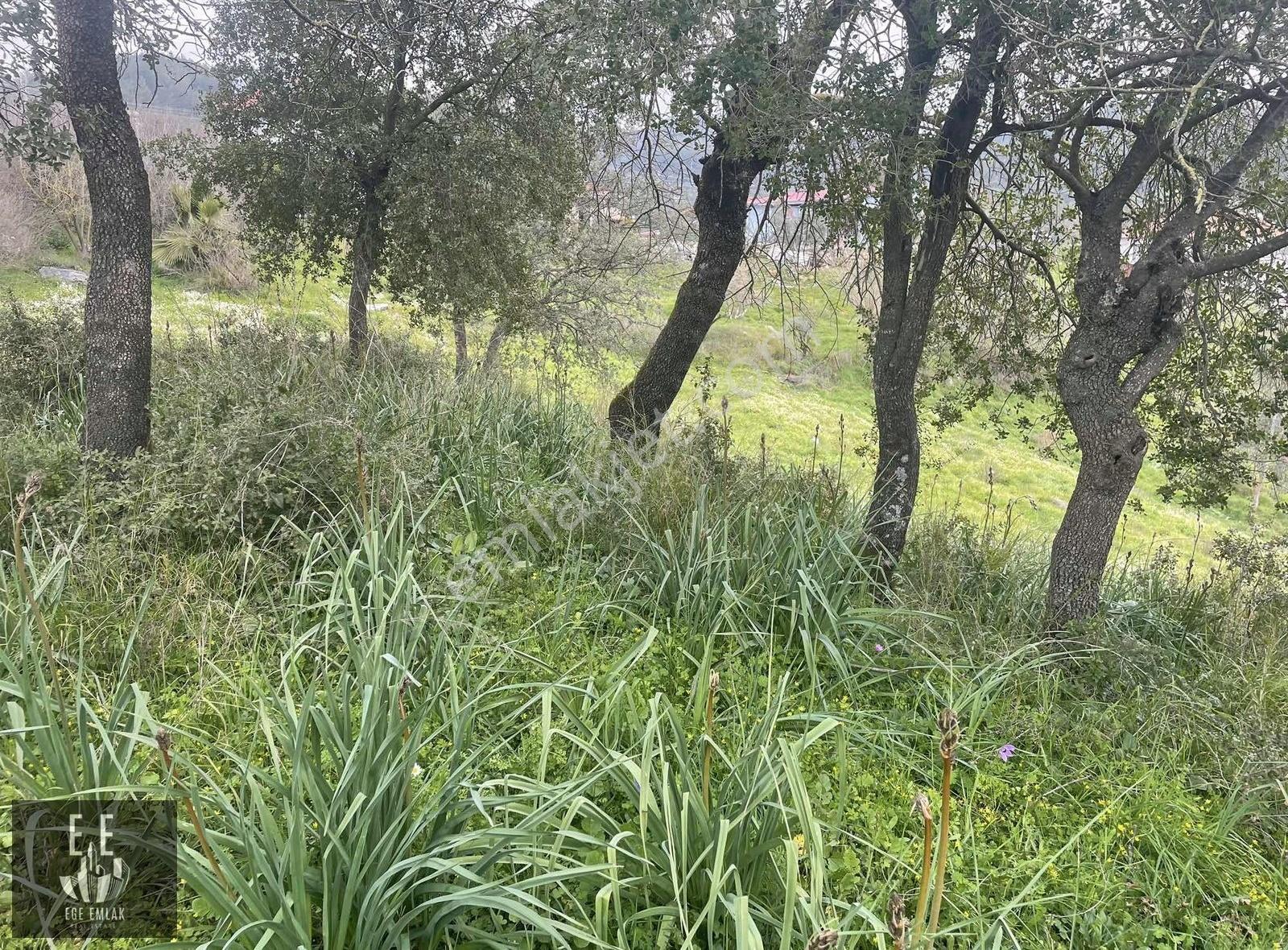 Ege Emlaktan Gökova Kızılyakada Satılık Villa Arsası - Görsel 9