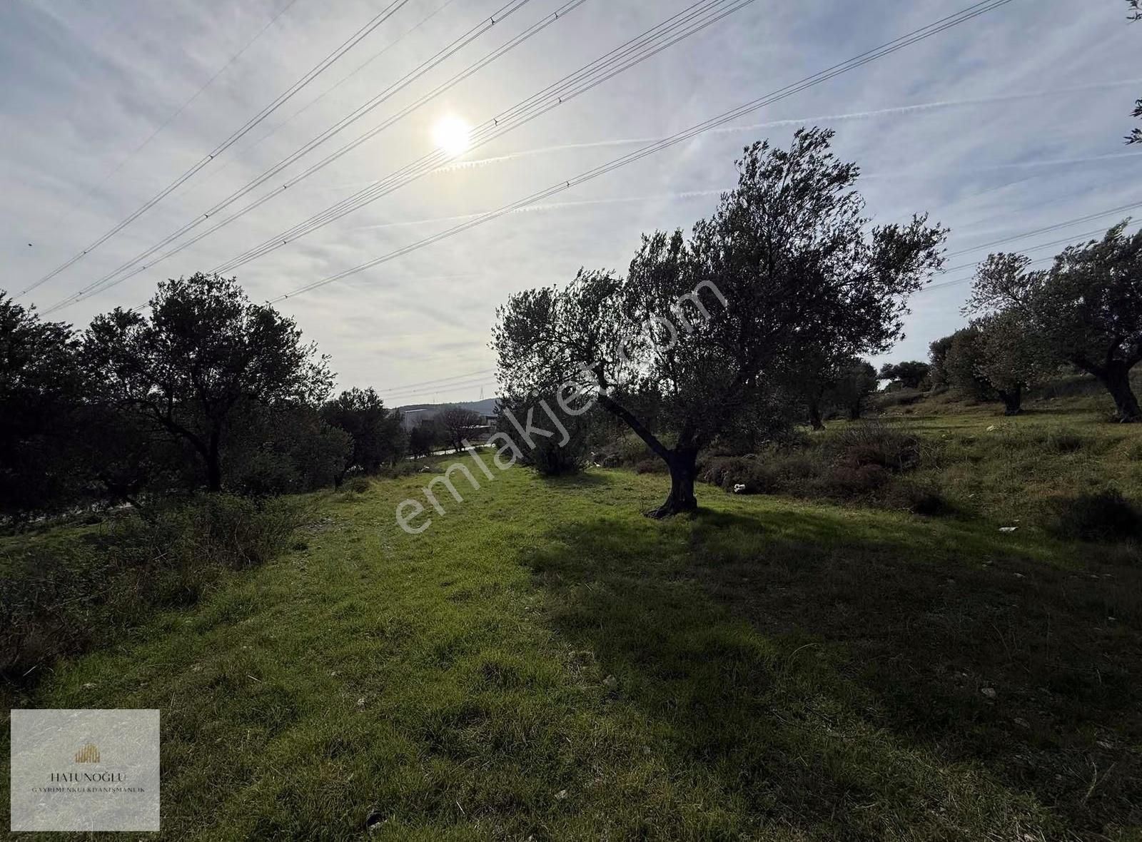 Hatunoğlu'ndan Satılık Aliağa-şehitkemal'de 467 M2 Arsa - Görsel 4