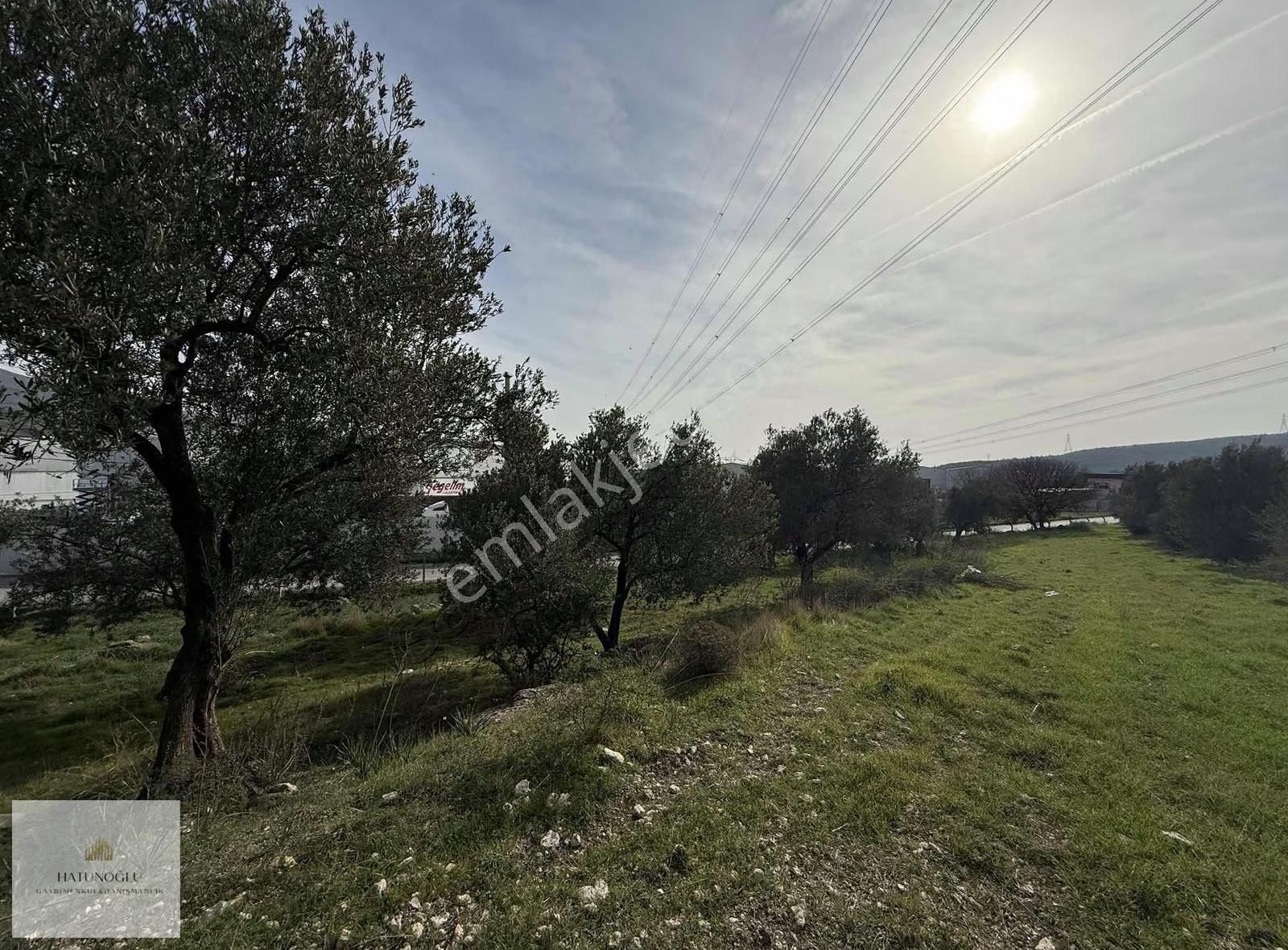 Hatunoğlu'ndan Satılık Aliağa-şehitkemal'de 467 M2 Arsa - Görsel 8