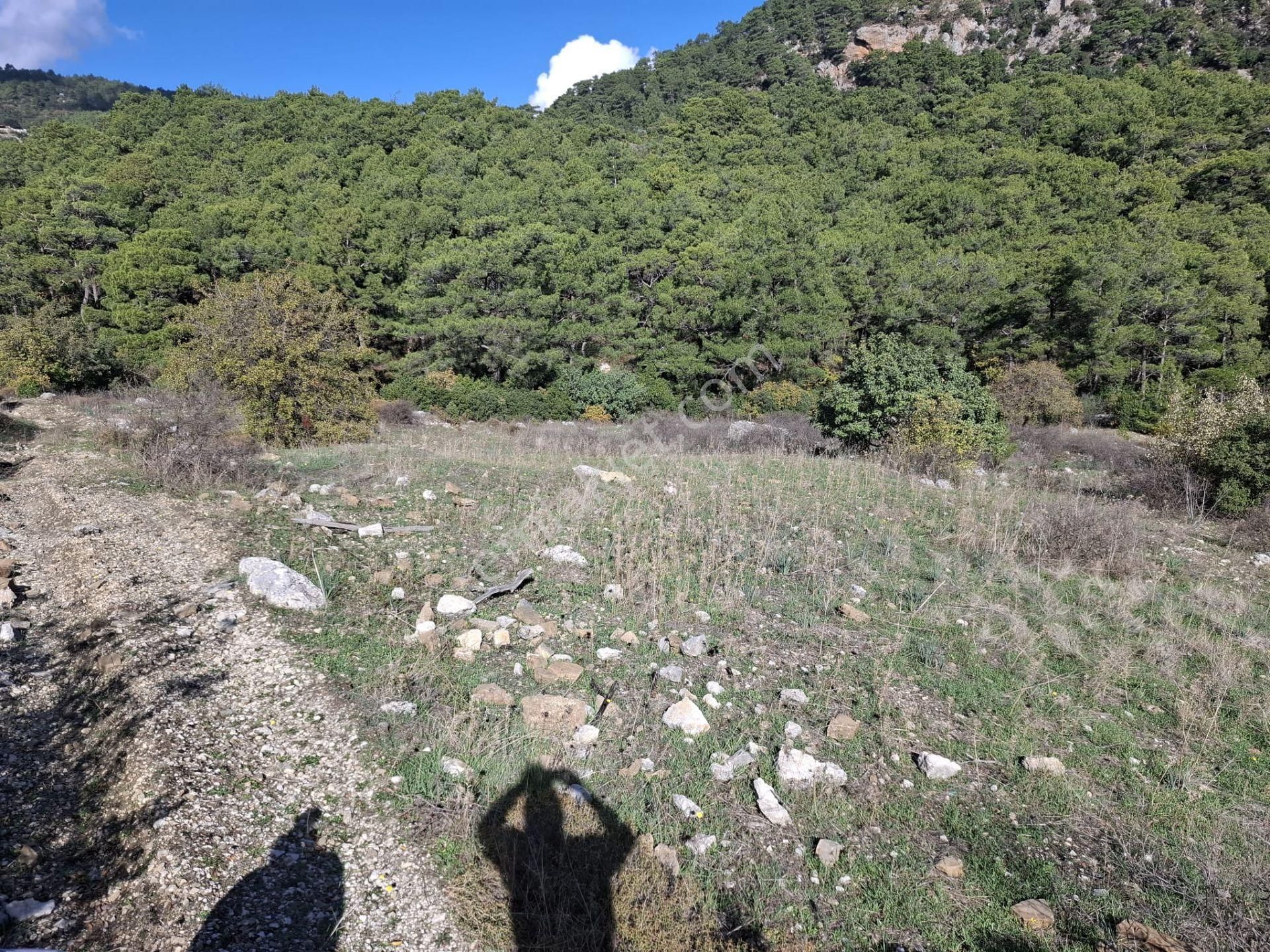 Klas Emlak'tan Kumluca Yeşilköy'de 10 Dönüm Satılık Arazi - Görsel 2