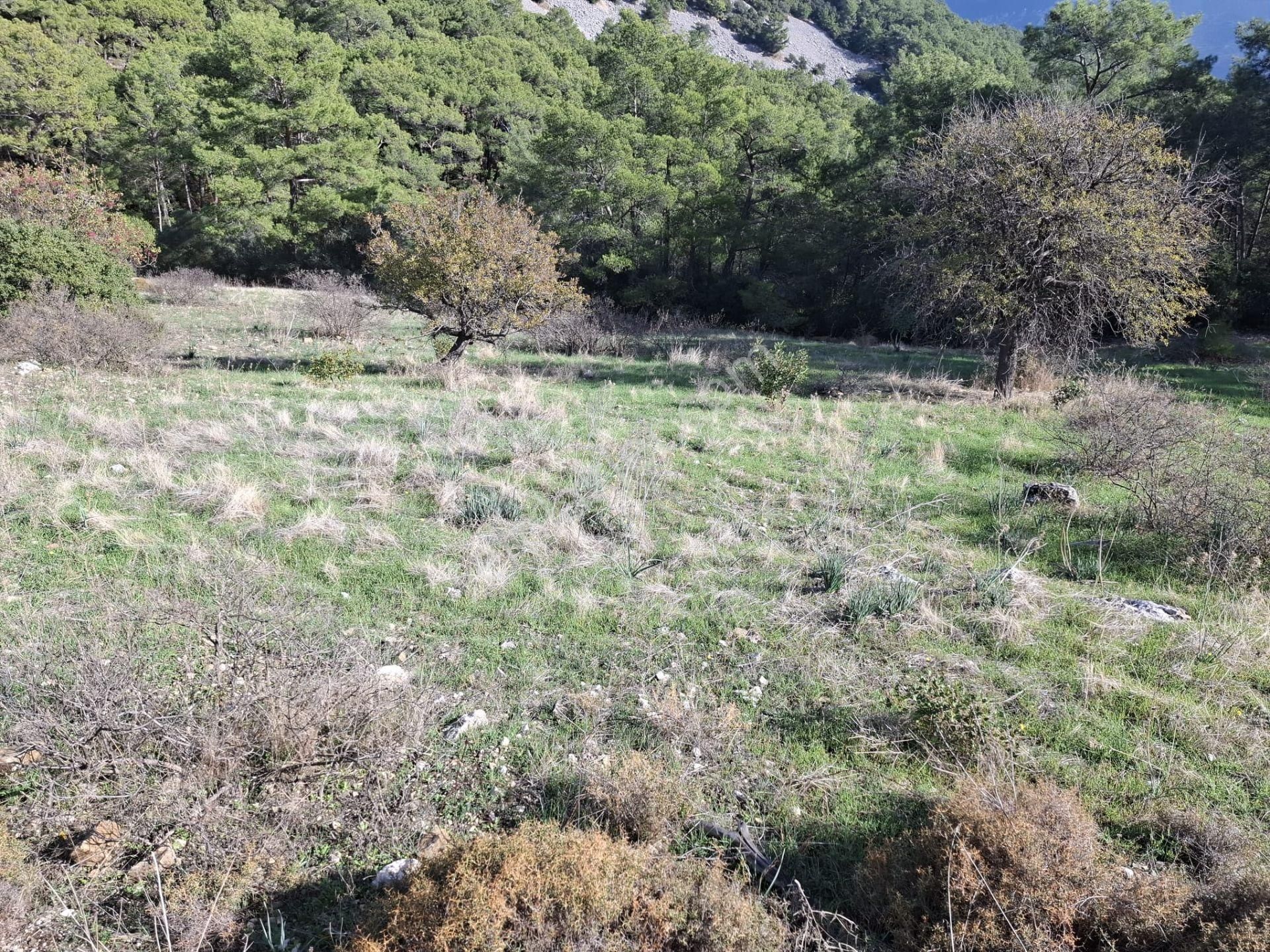 Klas Emlak'tan Kumluca Yeşilköy'de 10 Dönüm Satılık Arazi - Görsel 5