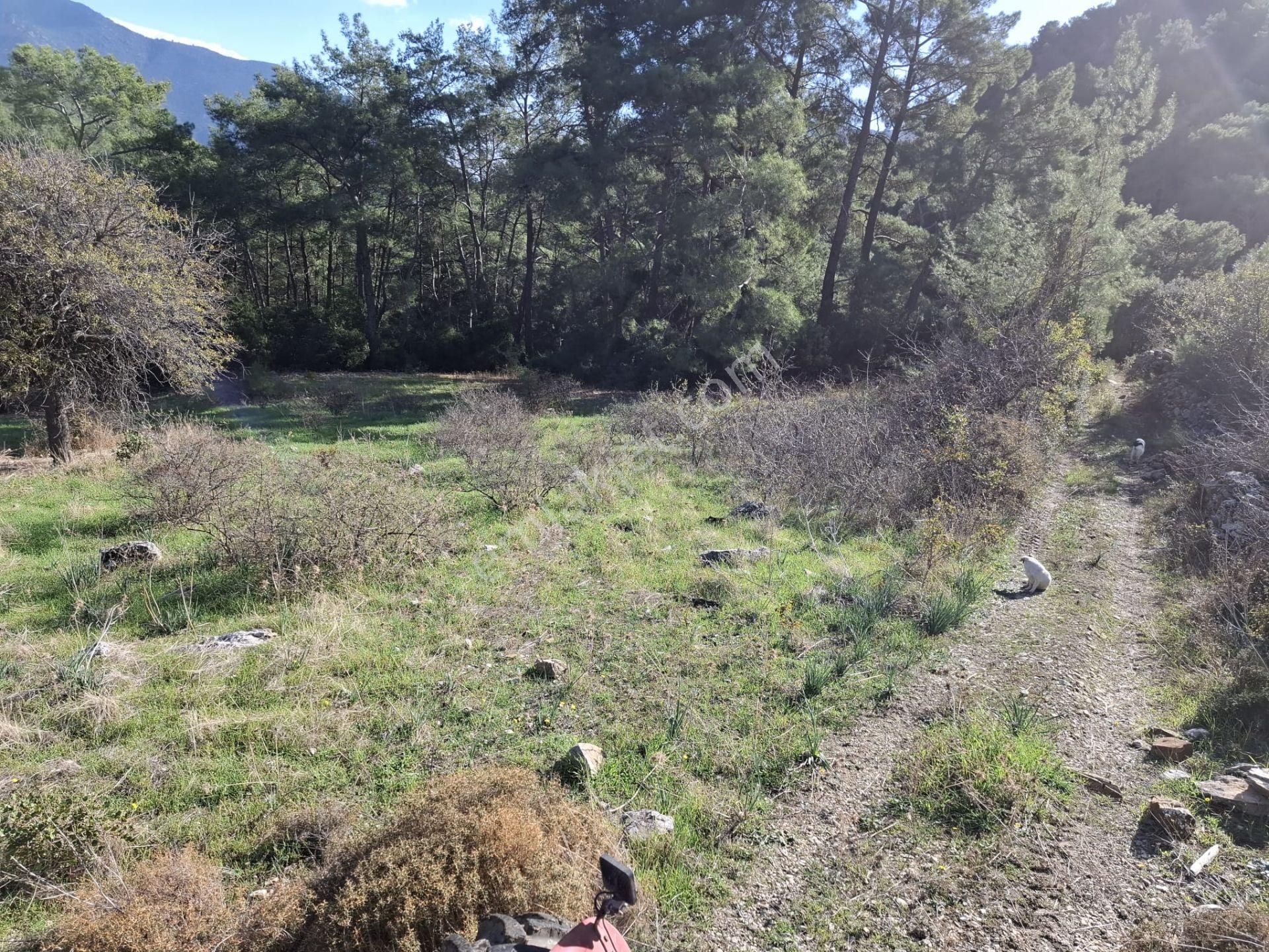 Klas Emlak'tan Kumluca Yeşilköy'de 10 Dönüm Satılık Arazi - Görsel 4