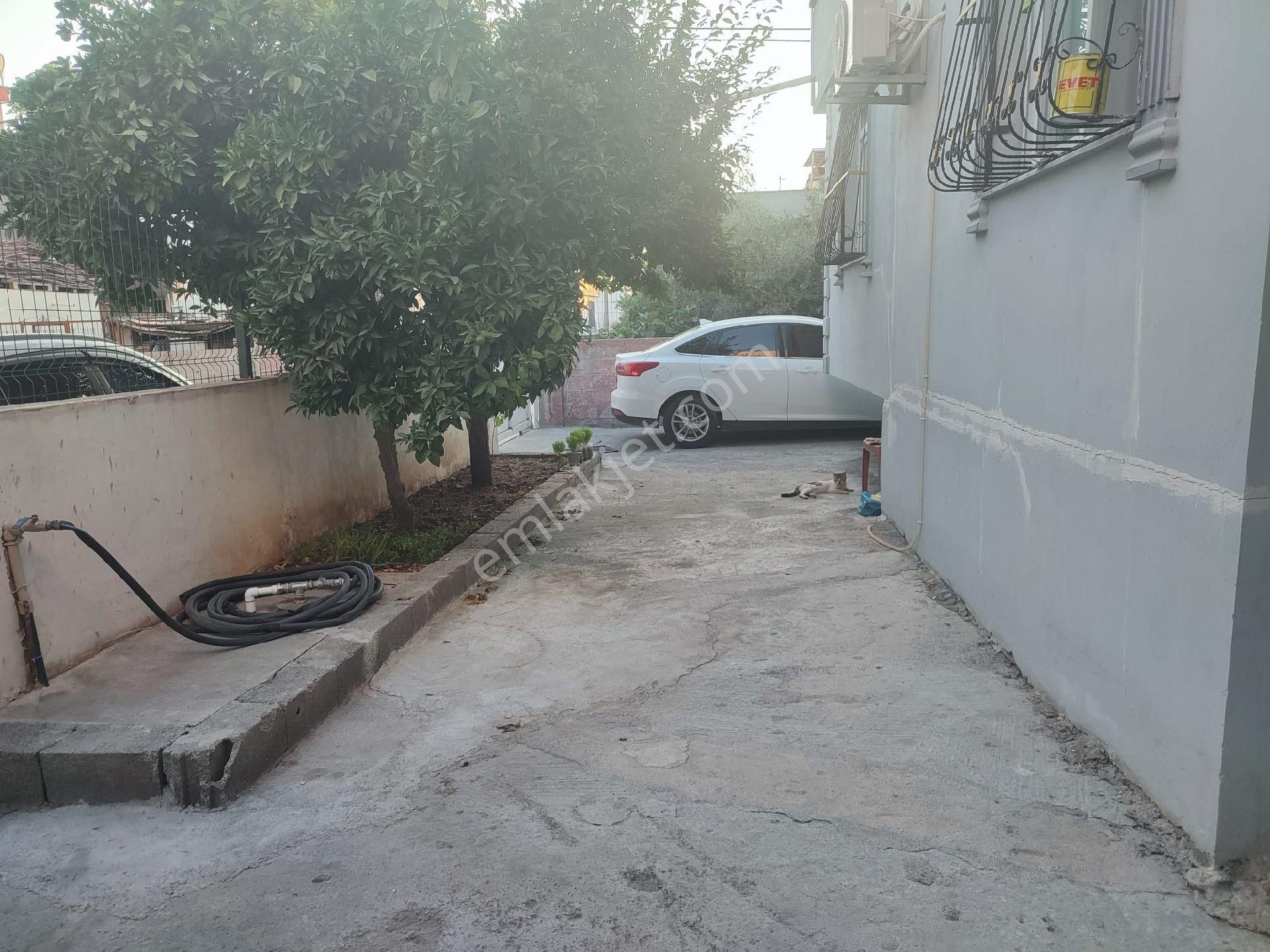 Yılmaz Sezgin Emlak Tan - Görsel 15