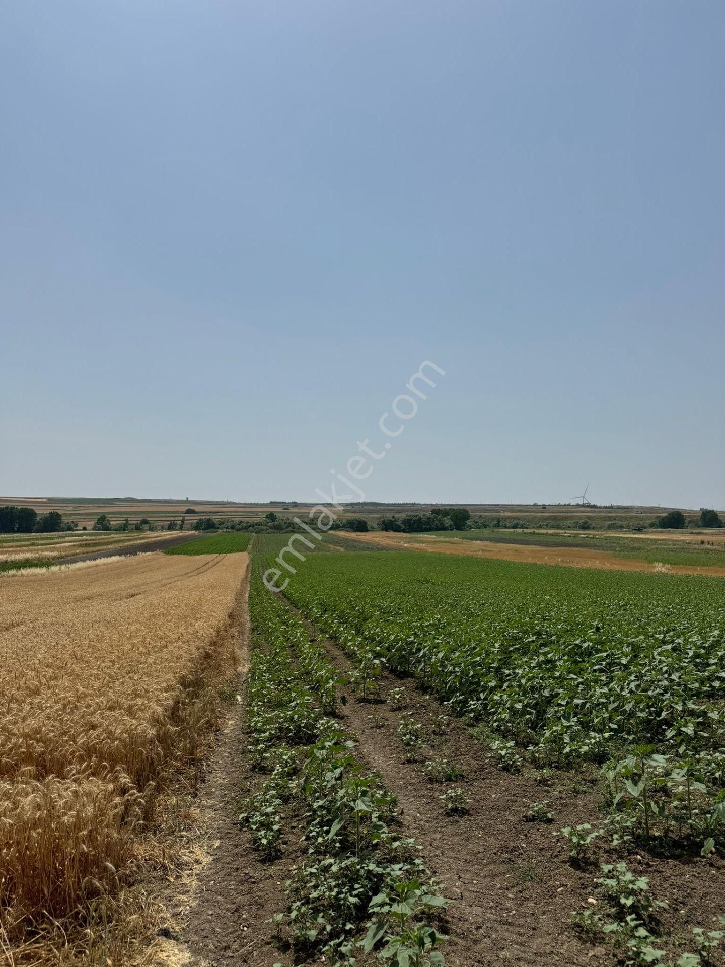 Silivri Seymen'de 11.000 M2 Tek Tapu Satılık Tarla - Görsel 2