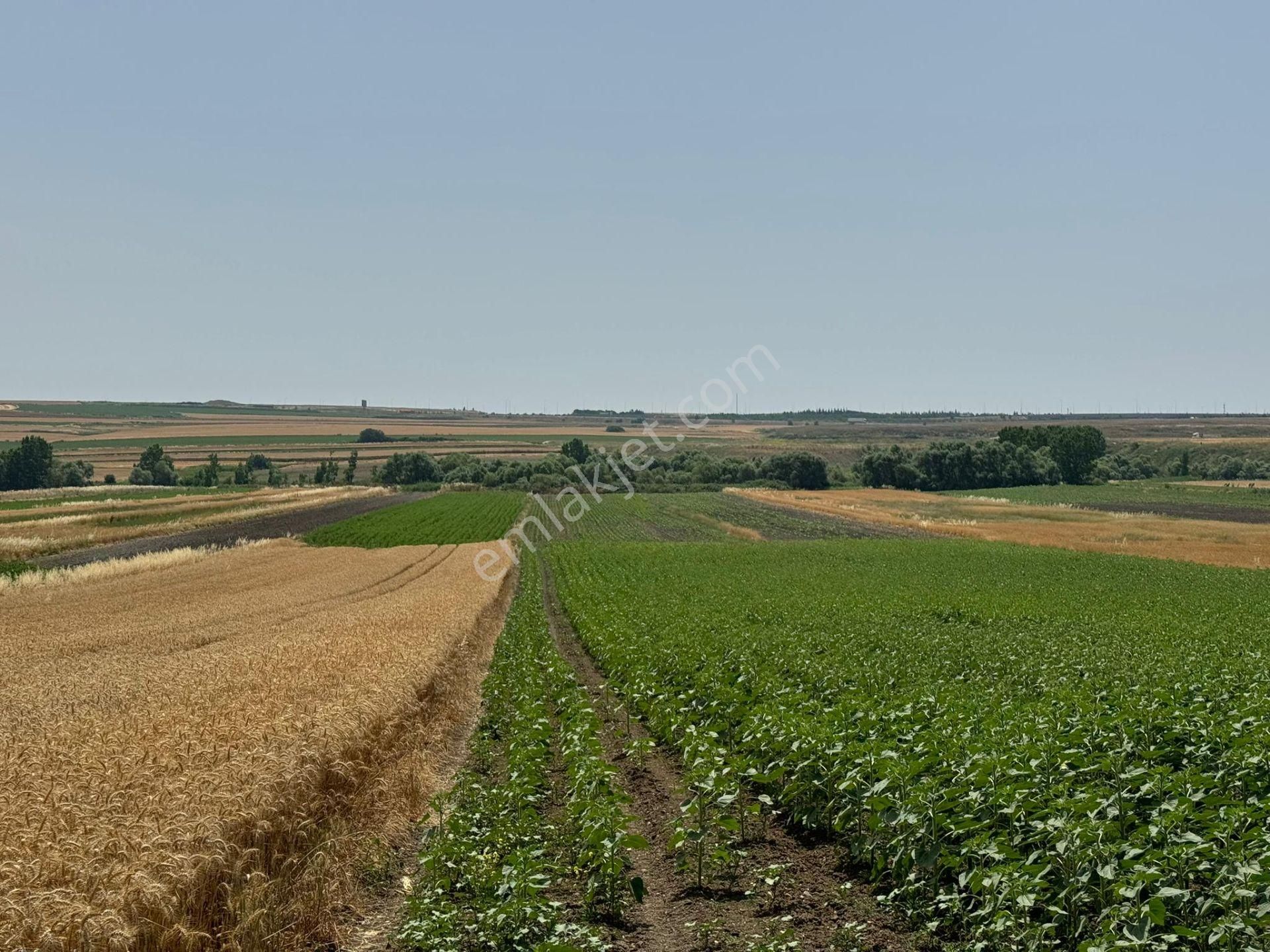 Silivri Seymen'de 11.000 M2 Tek Tapu Satılık Tarla - Görsel 5