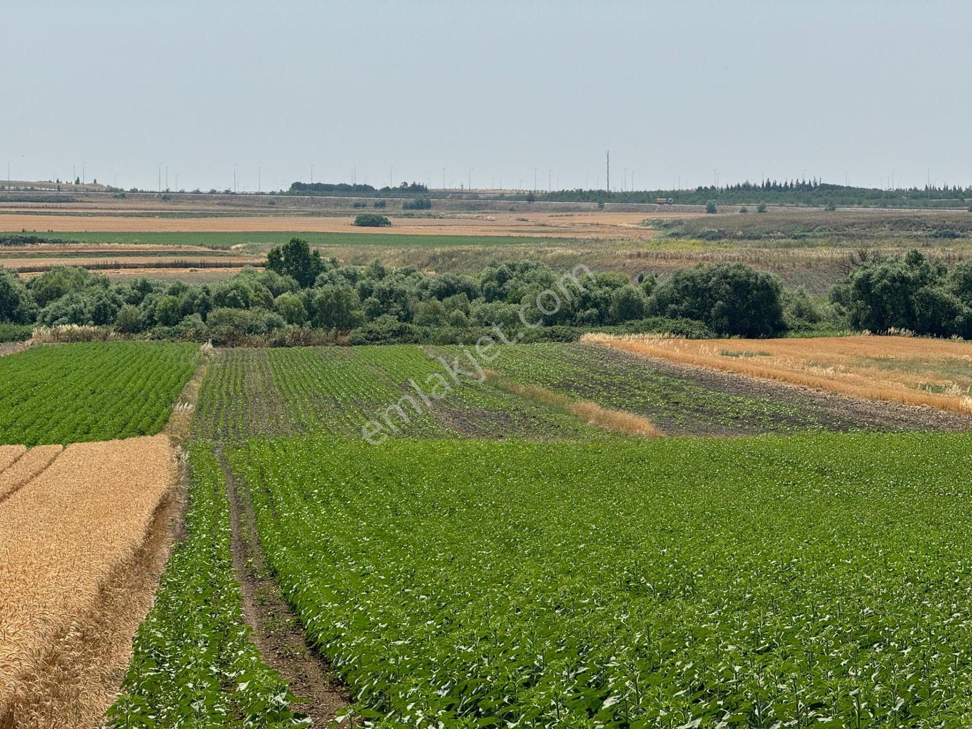 Silivri Seymen'de 11.000 M2 Tek Tapu Satılık Tarla - Görsel 7