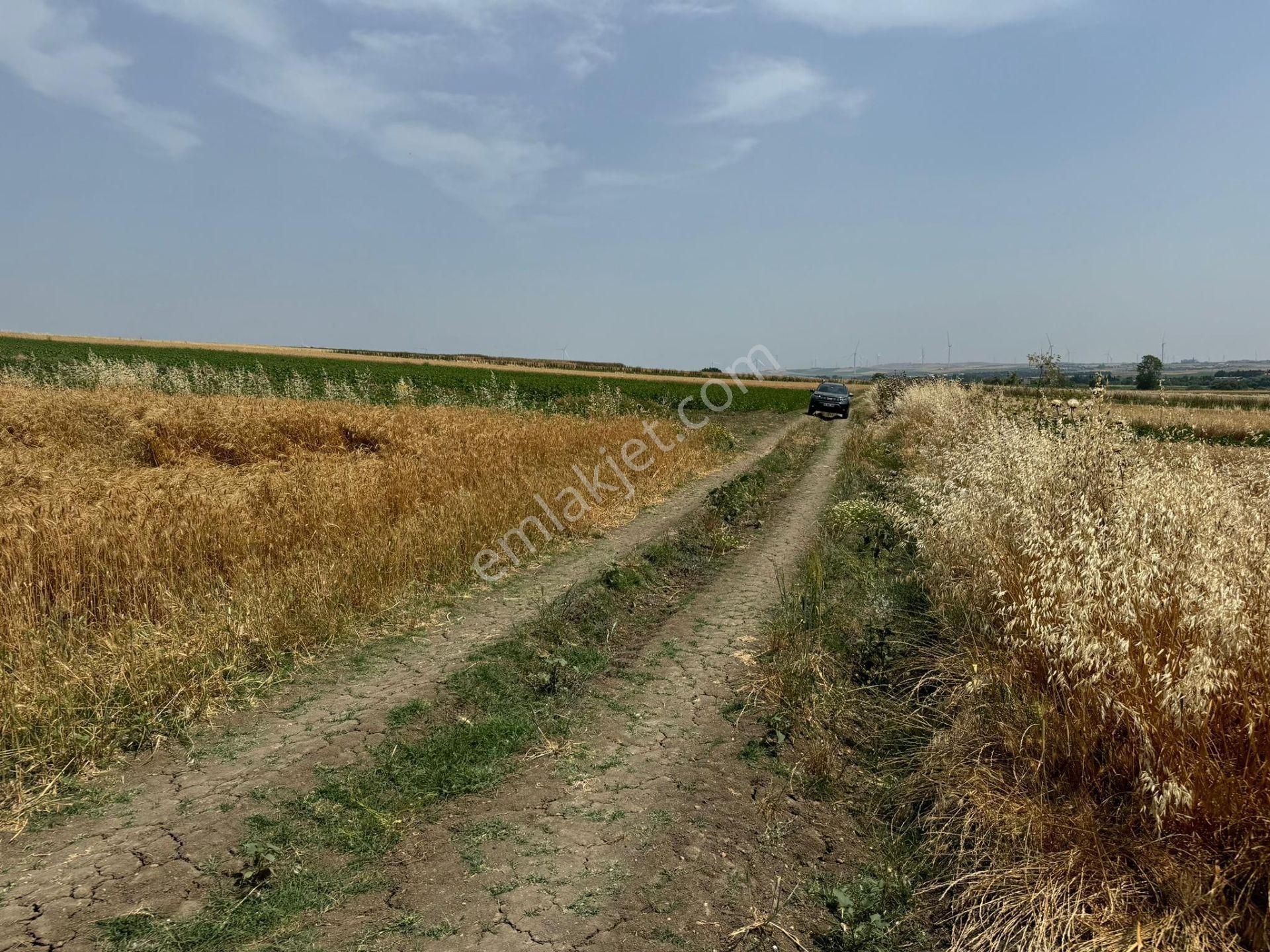 Silivri Seymen'de 11.000 M2 Tek Tapu Satılık Tarla - Görsel 8