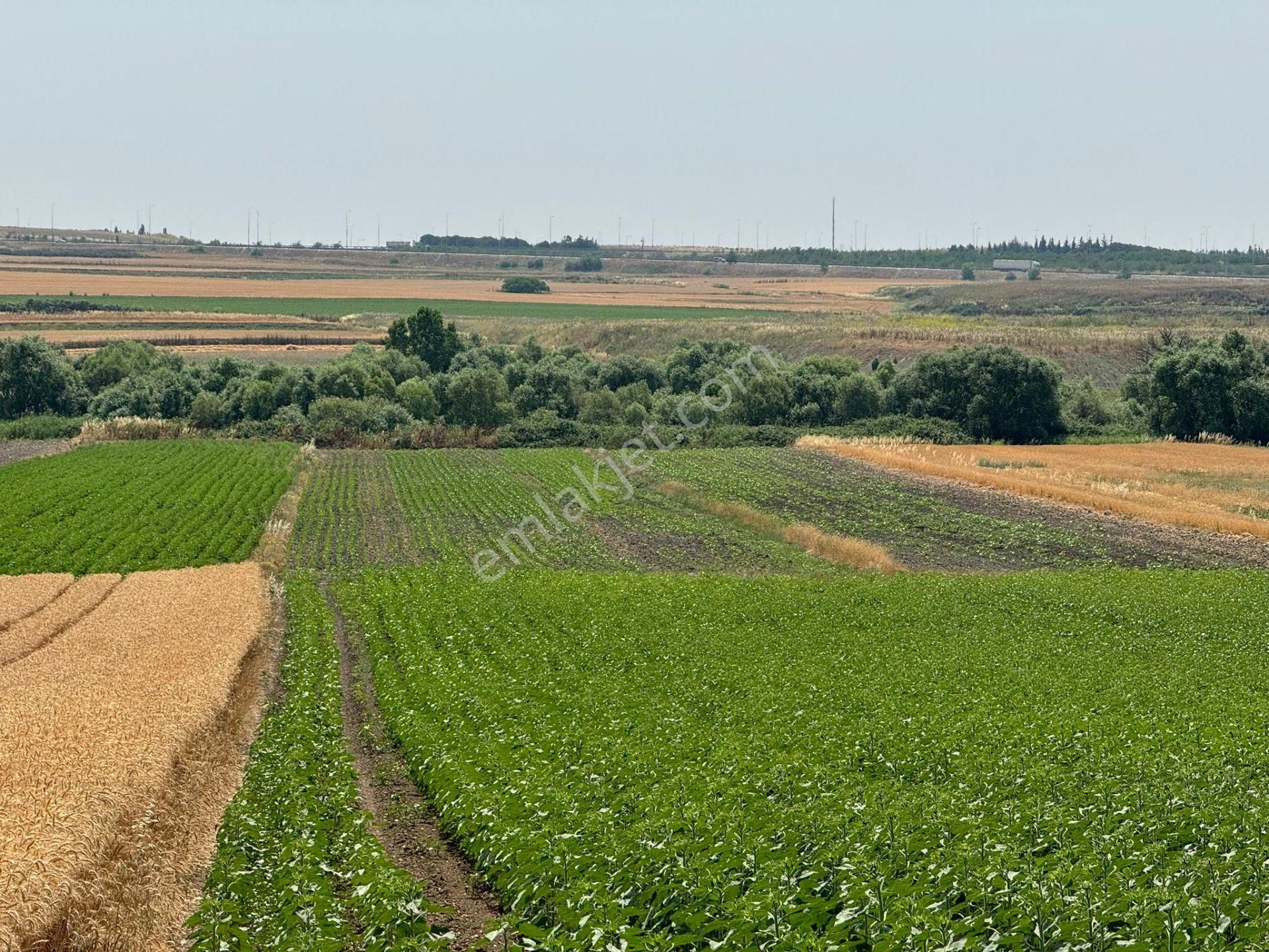 Silivri Seymen'de 11.000 M2 Tek Tapu Satılık Tarla - Görsel 3