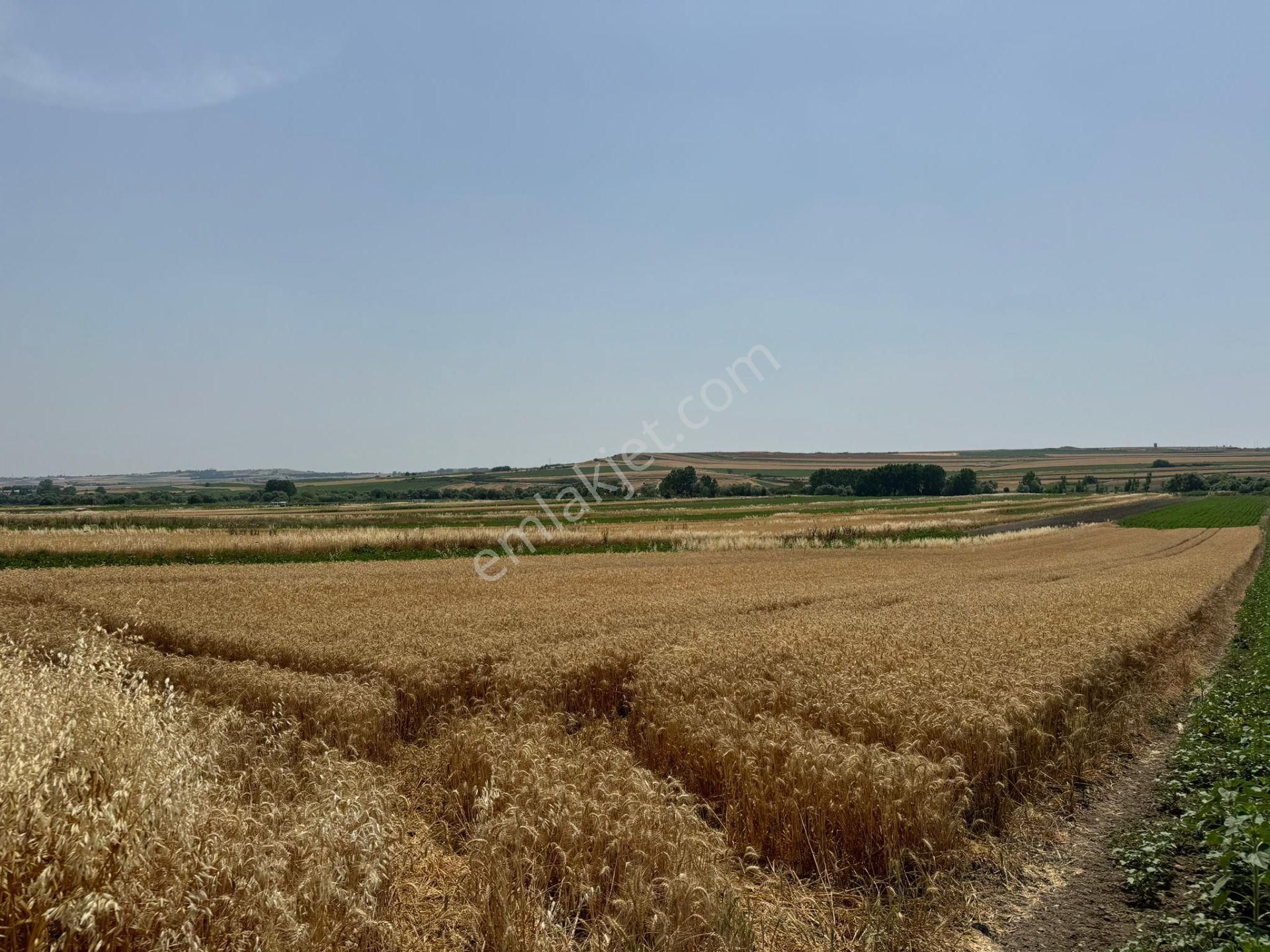 Silivri Seymen'de 11.000 M2 Tek Tapu Satılık Tarla - Görsel 4