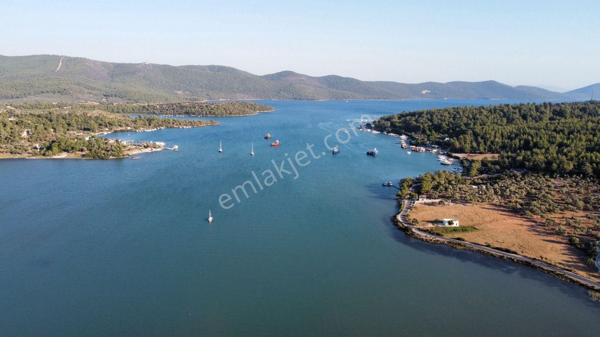 Doğa İle İç İçe Köşe Konumlu Bahçeli Yazlık - Görsel 31