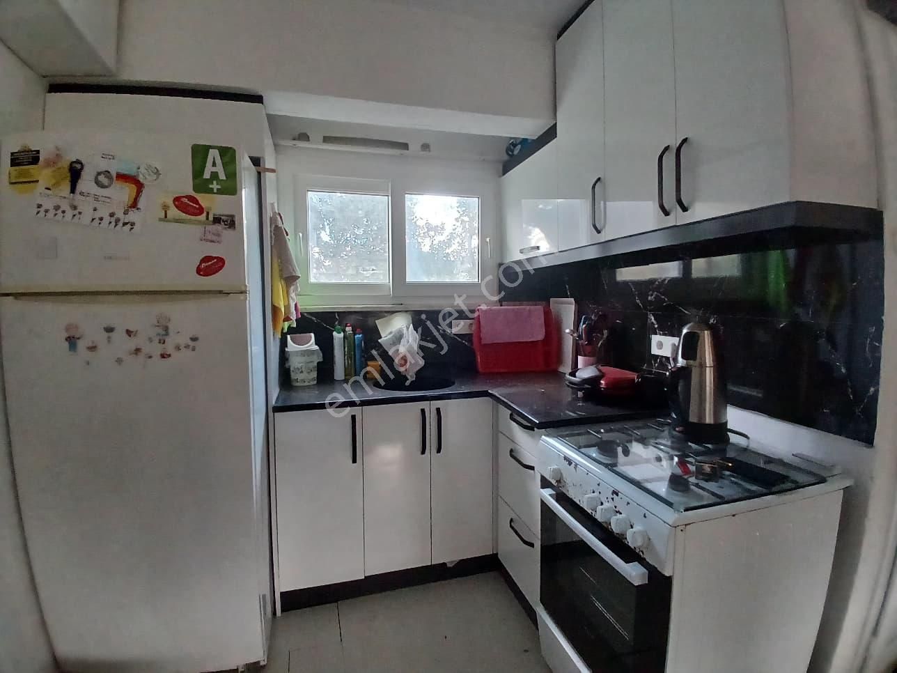 Doğa İle İç İçe Köşe Konumlu Bahçeli Yazlık - Görsel 20