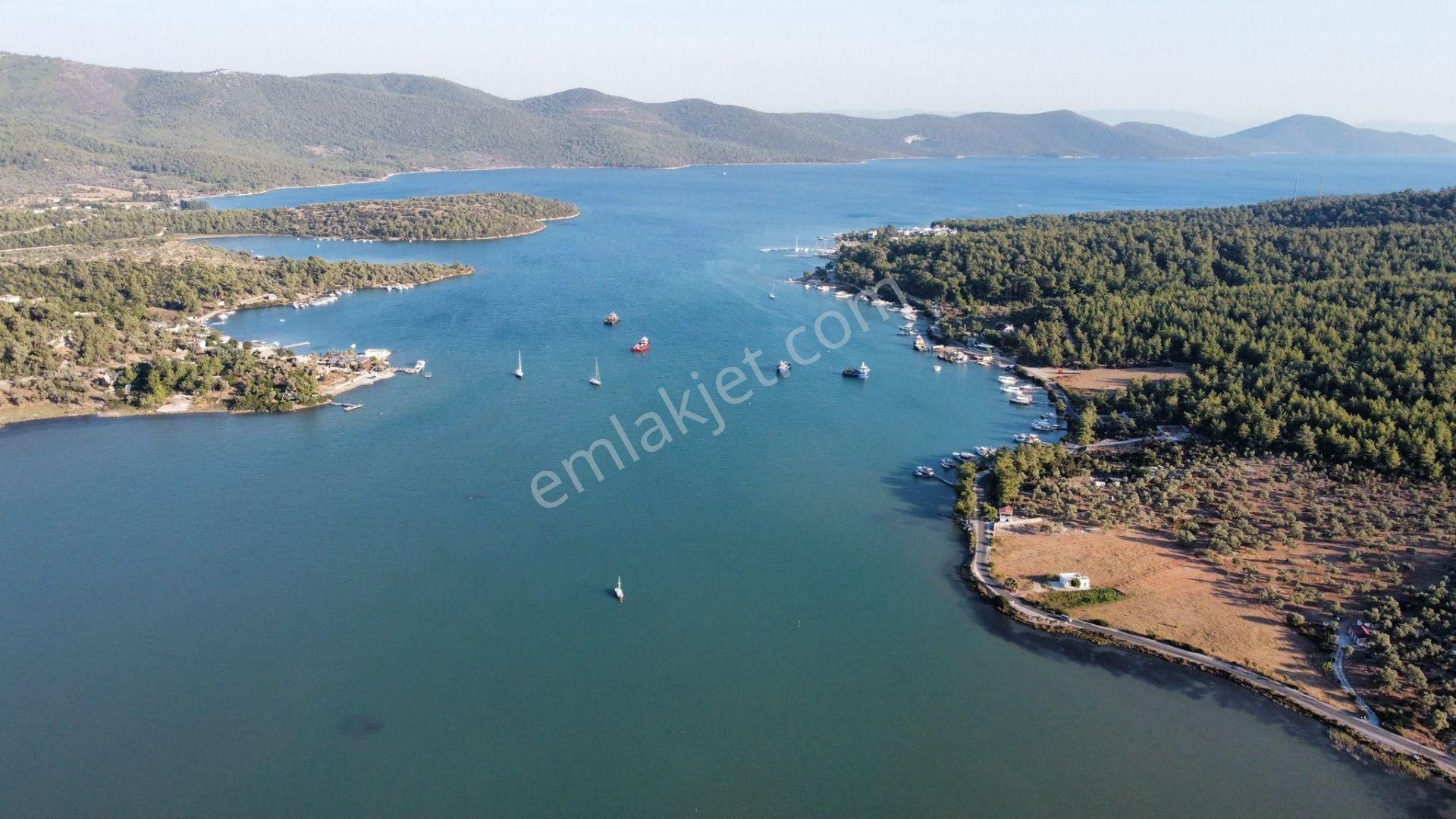 Doğa İle İç İçe Köşe Konumlu Bahçeli Yazlık - Görsel 33