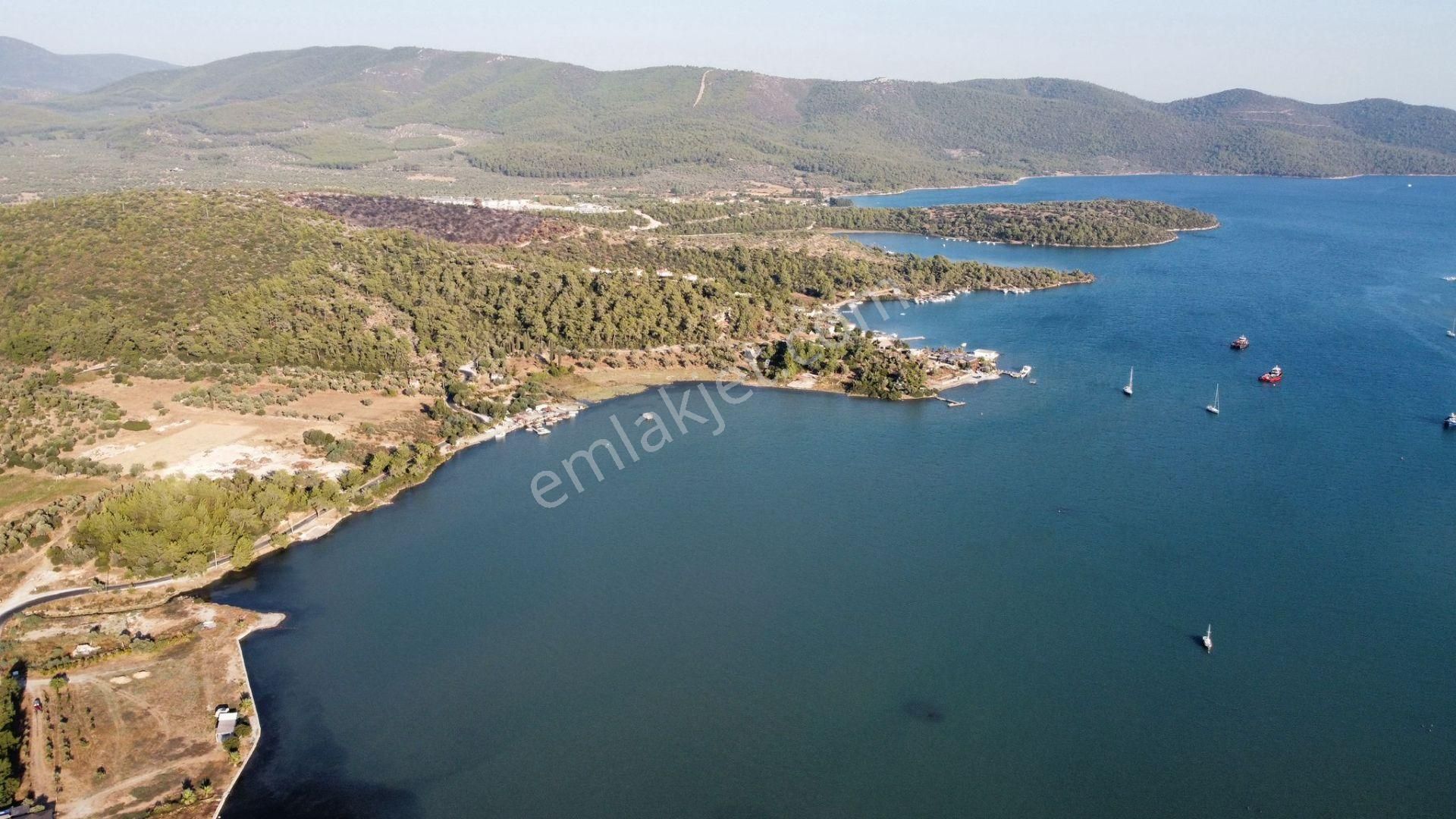 Doğa İle İç İçe Köşe Konumlu Bahçeli Yazlık - Görsel 32