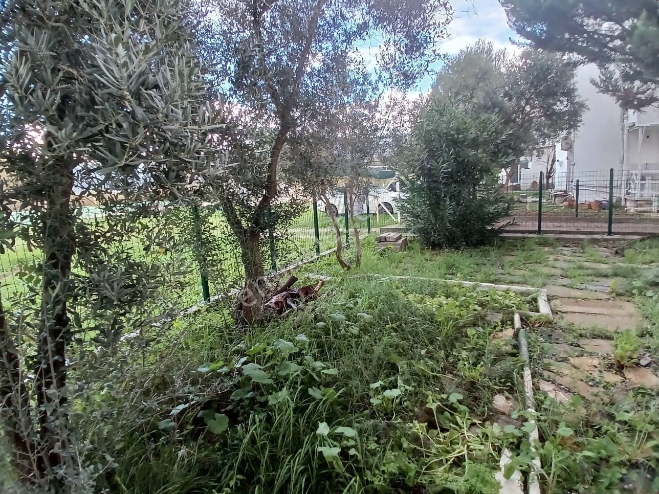 Doğa İle İç İçe Köşe Konumlu Bahçeli Yazlık - Görsel 9