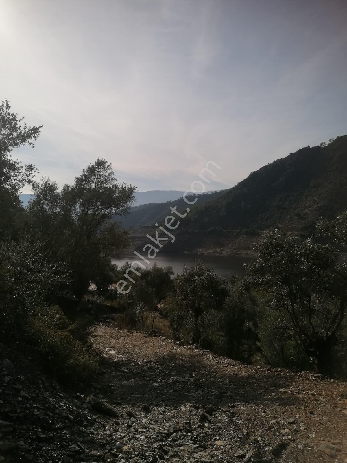 Bu Fırsat Bir Daha Gelmez! Derince Barajı Manzaralı 1200 M2 Zeytinlik - Görsel 5