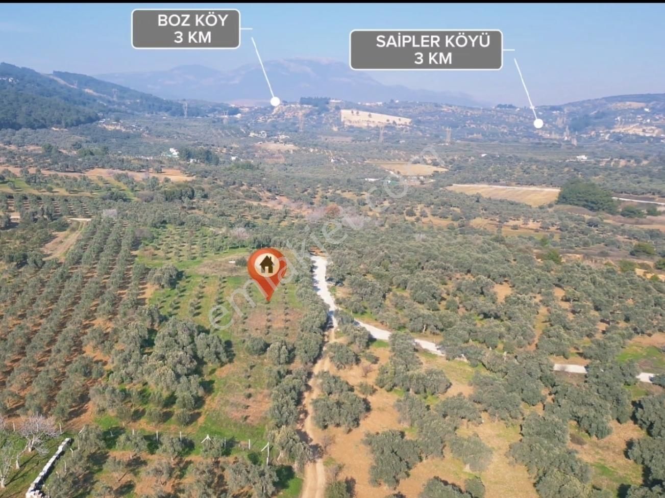 Torbalı Saipler Satılık Müstakil Tapu Zeytinlik - Görsel 11