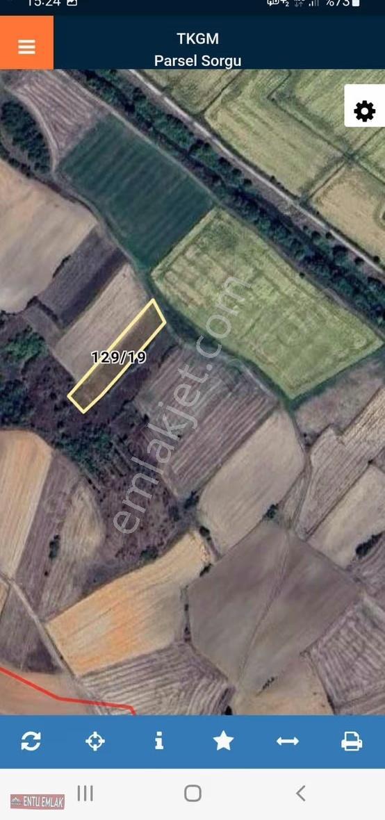 Kırklareli Babaeski Cehilli Köyü 2030 Mt Tarla - Görsel 8