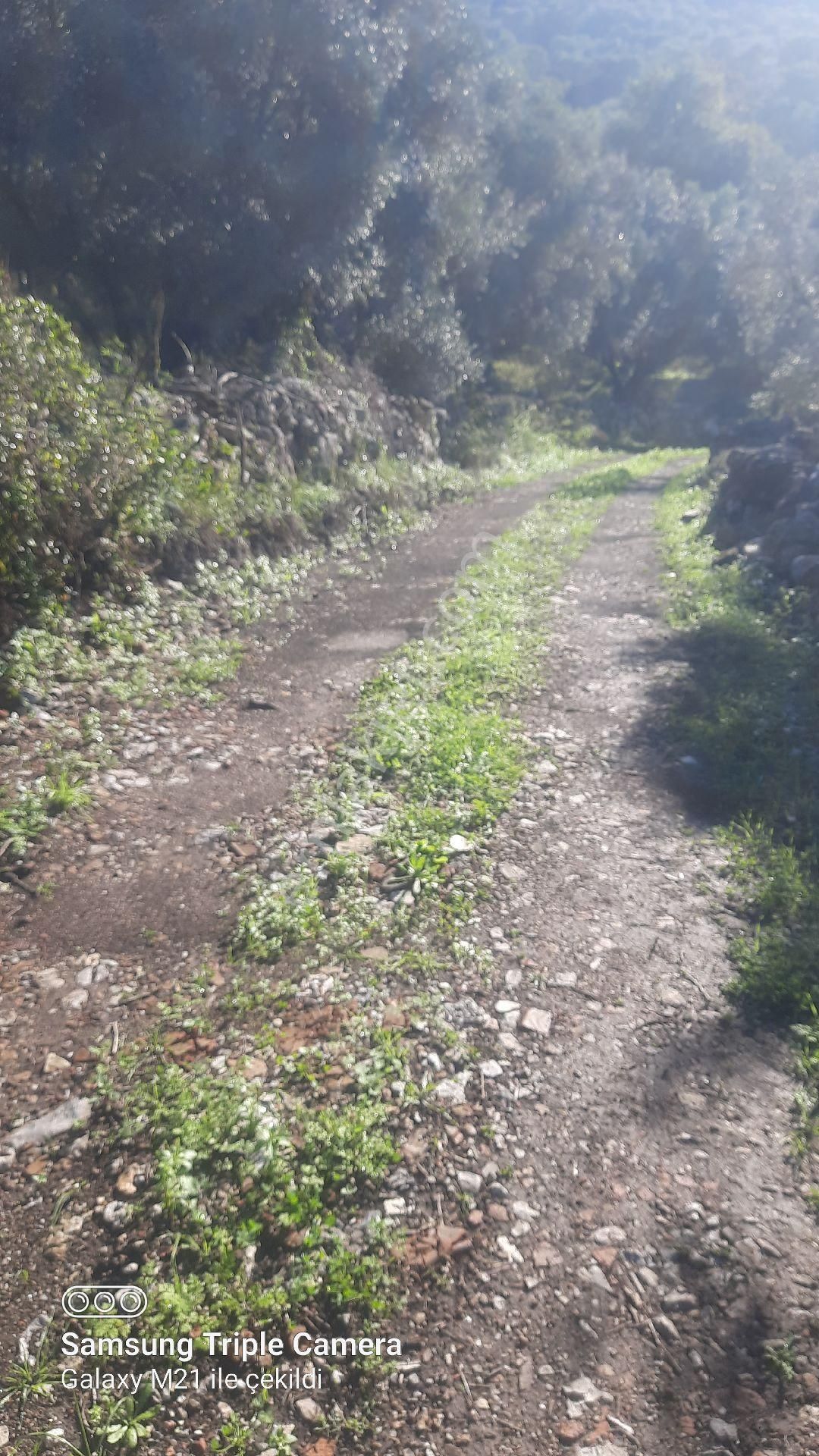 Ortaca Güzelyurt'da Satılık Tarla - Görsel 22