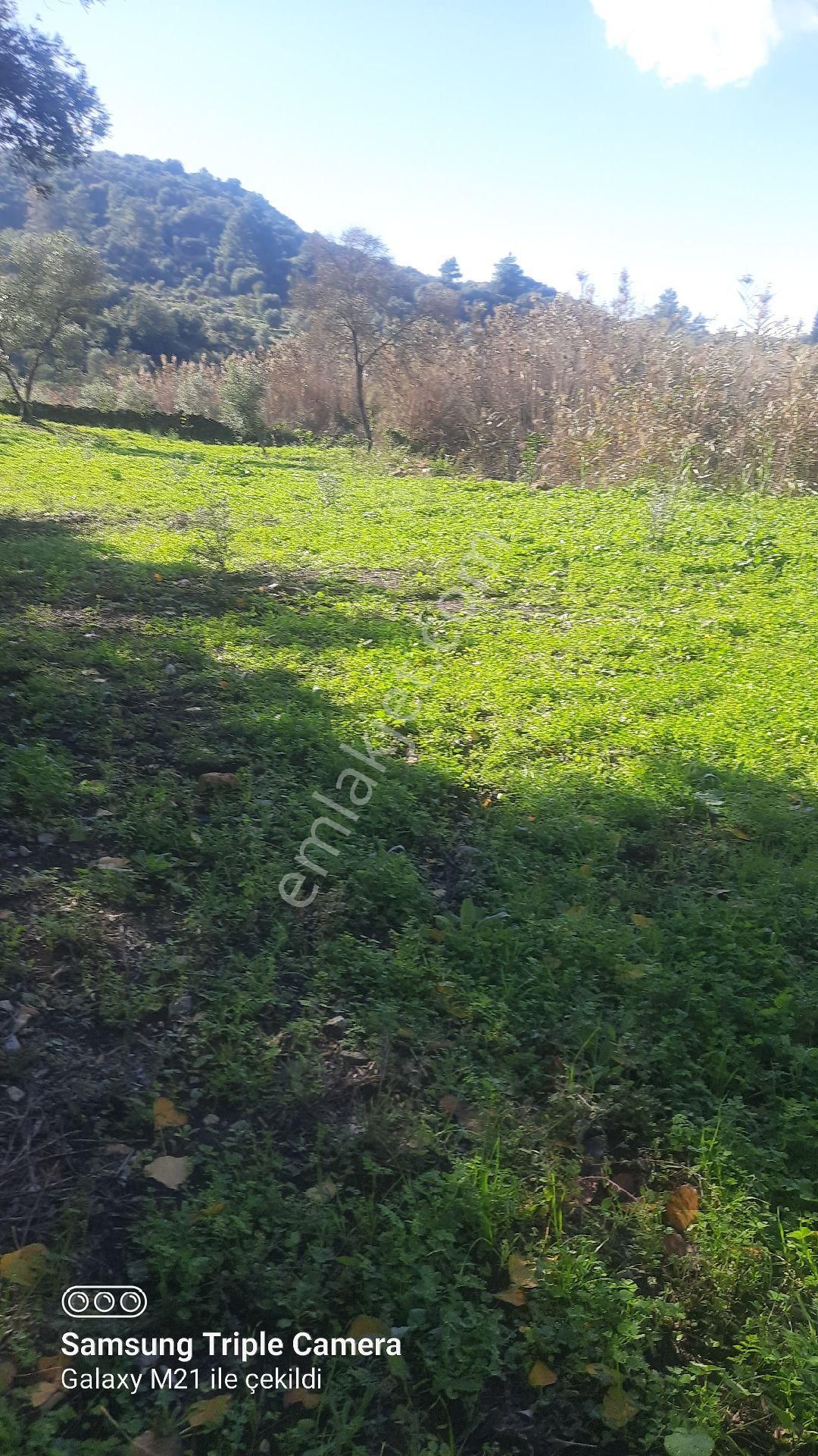 Ortaca Güzelyurt'da Satılık Tarla - Görsel 18