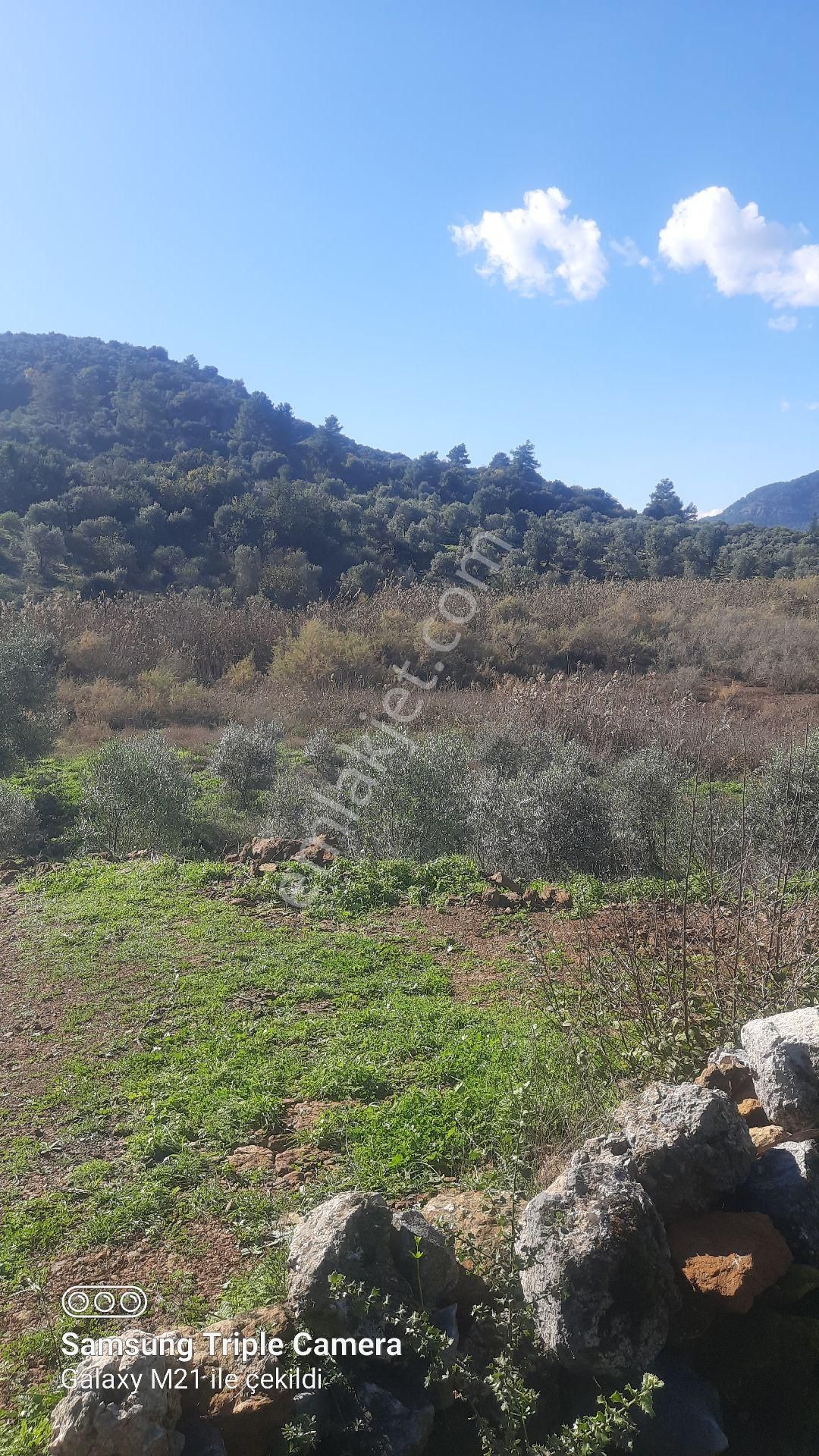 Ortaca Güzelyurt'da Satılık Tarla - Görsel 14